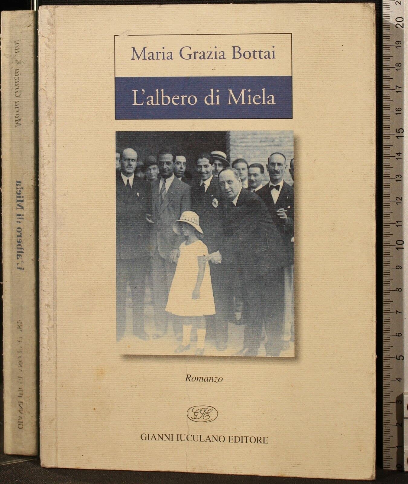L'albero di Miela (Romanzi) Contemporary literature