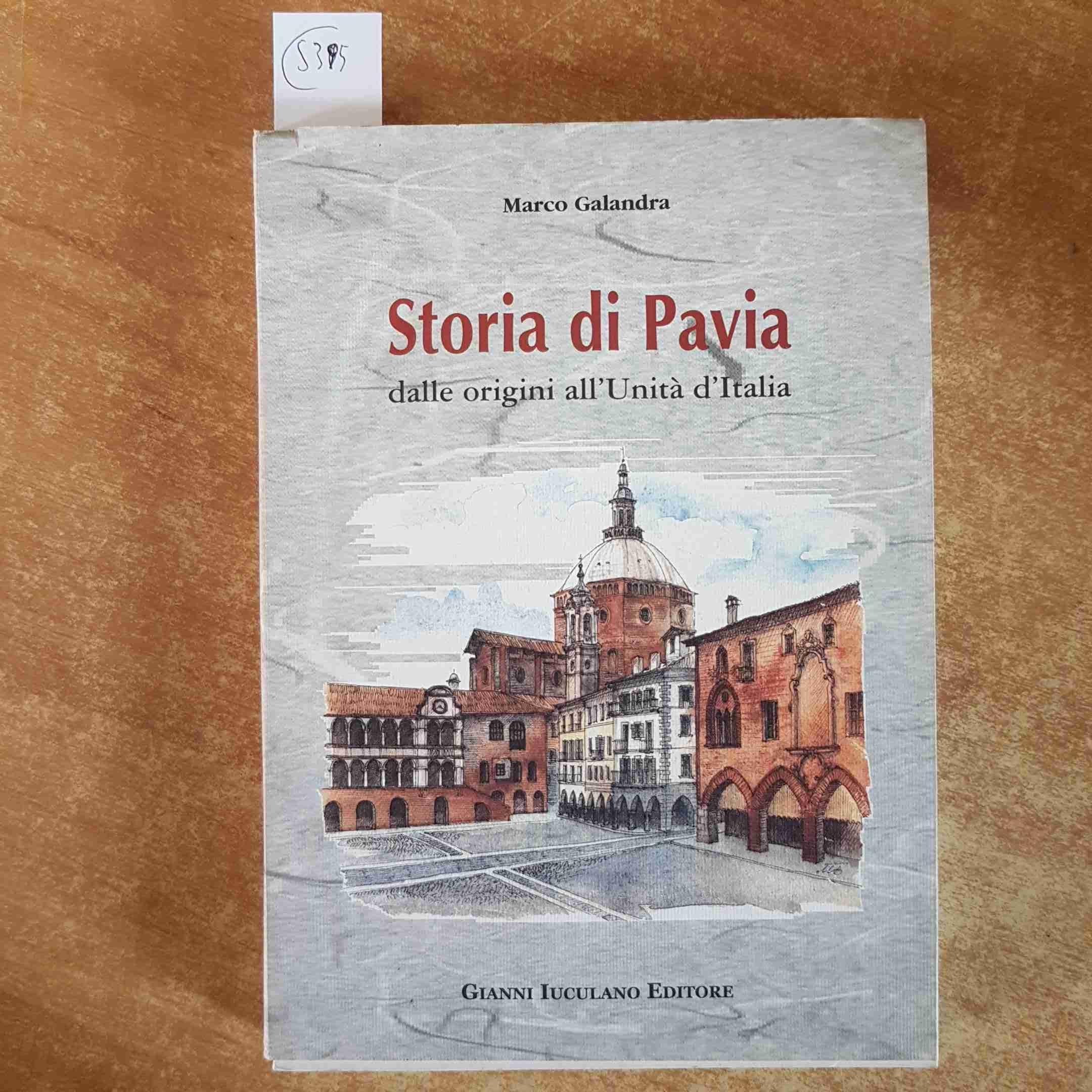 Storia di Pavia: Dalle origini all'unita d'Italia (Le cento citta d'Italia) book