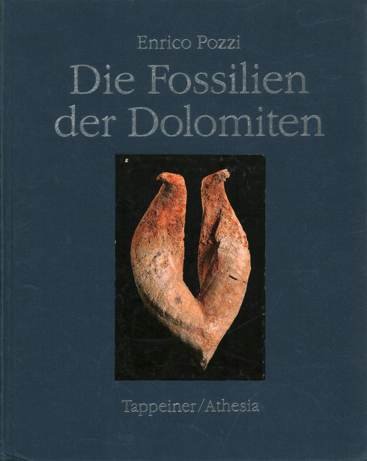 Die Fossilien der Dolomiten Geology & Geography