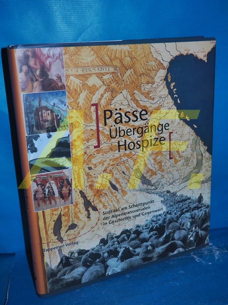 Pässe, Übergänge, Hospize: Südtirol am Schnittpunkt der Alpentransversalen in Geschichte und Gegenwart Geology & Geography