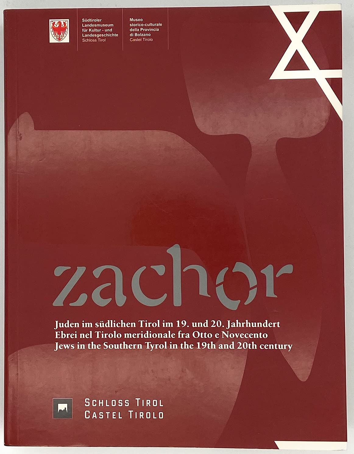 Zachor - Juden im südlichen Tirol im 19. und 20. Jahrhundert Books
