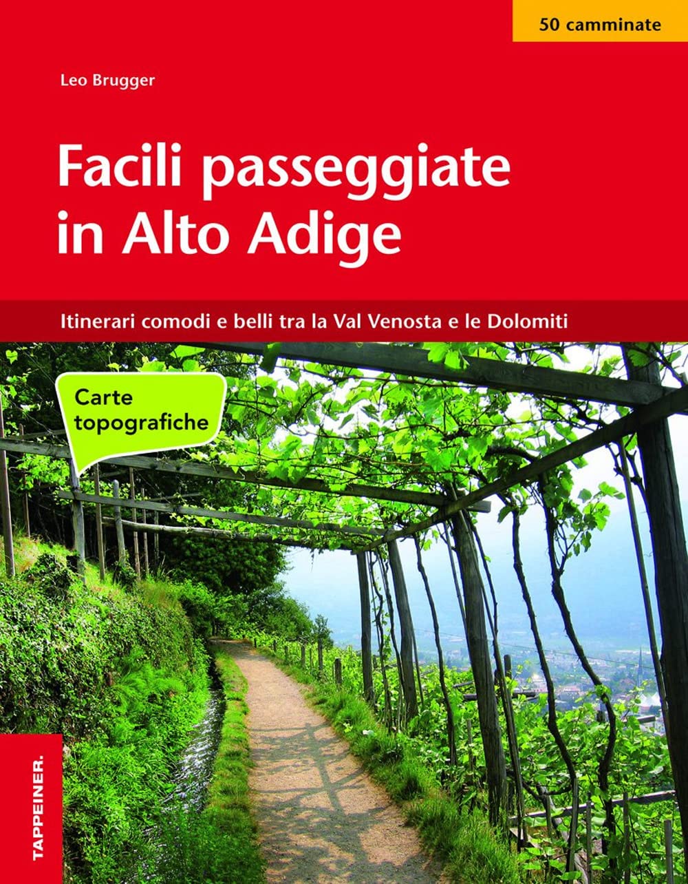 Facili passeggiate in Alto Adige. Itinerari comodi e belli tra la Val Venosta e le Dolomiti book