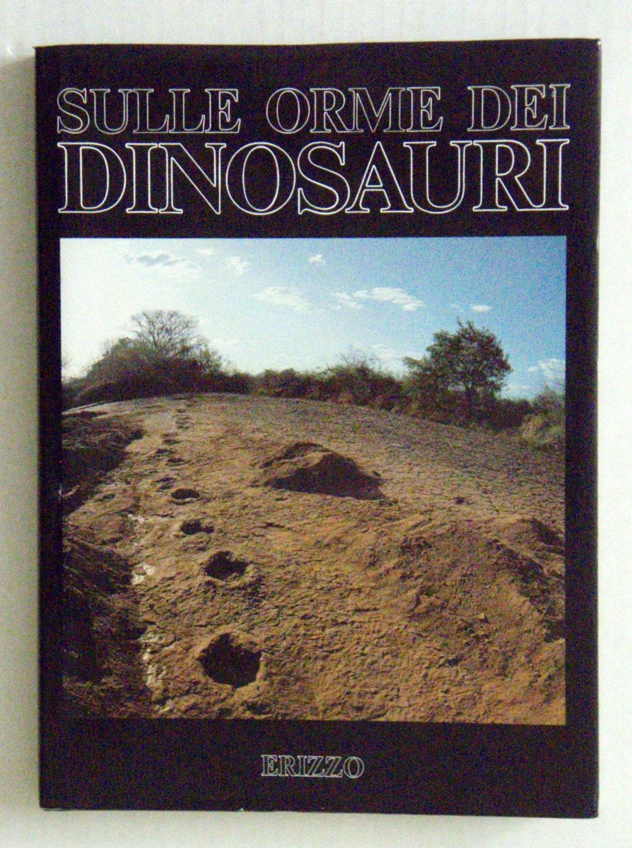 Sulle orme dei dinosauri (Esplorazioni e ricerche) book
