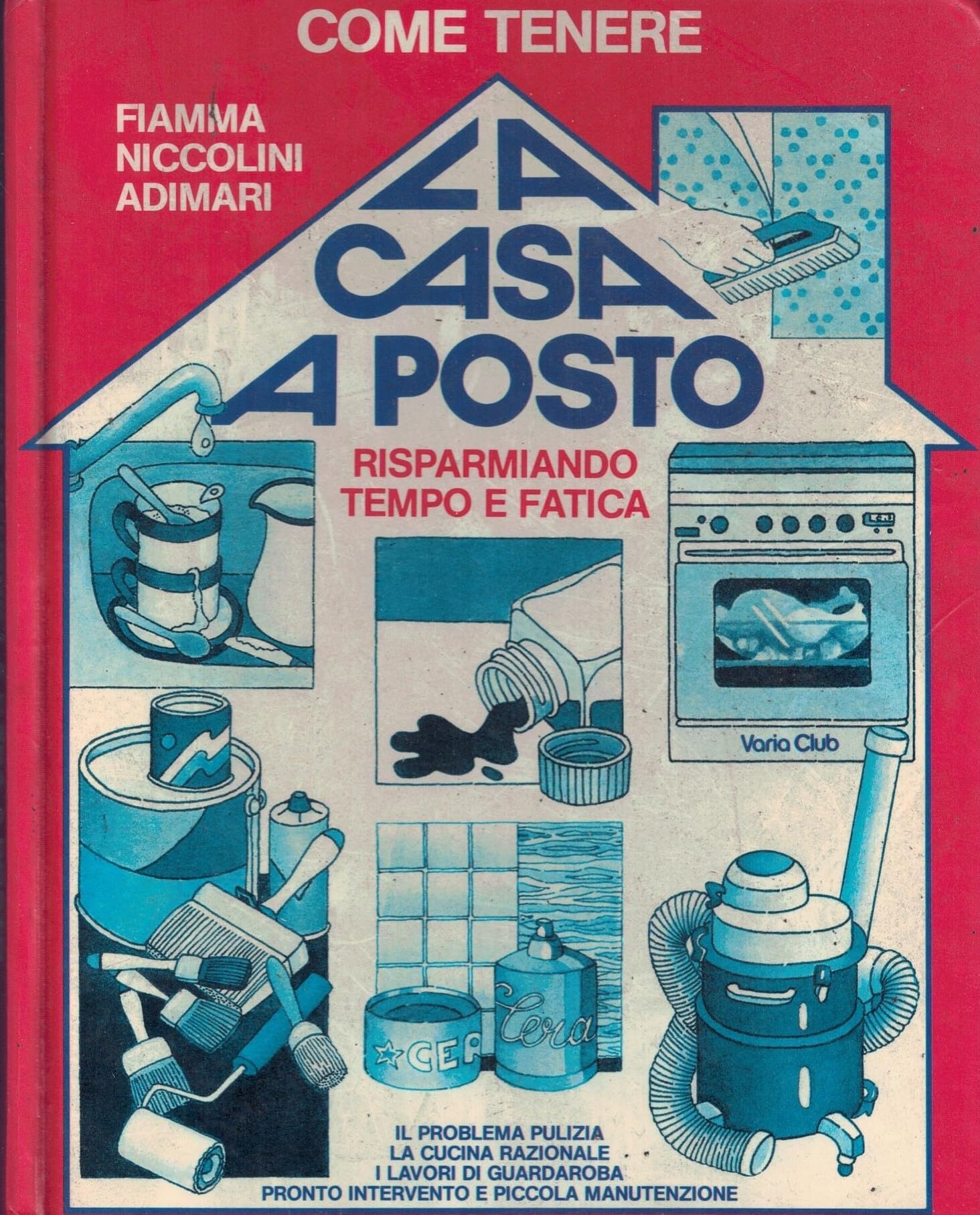 Come tenere la casa a posto risparmiando tempo e fatica. Ediz. illustrata Home & Household