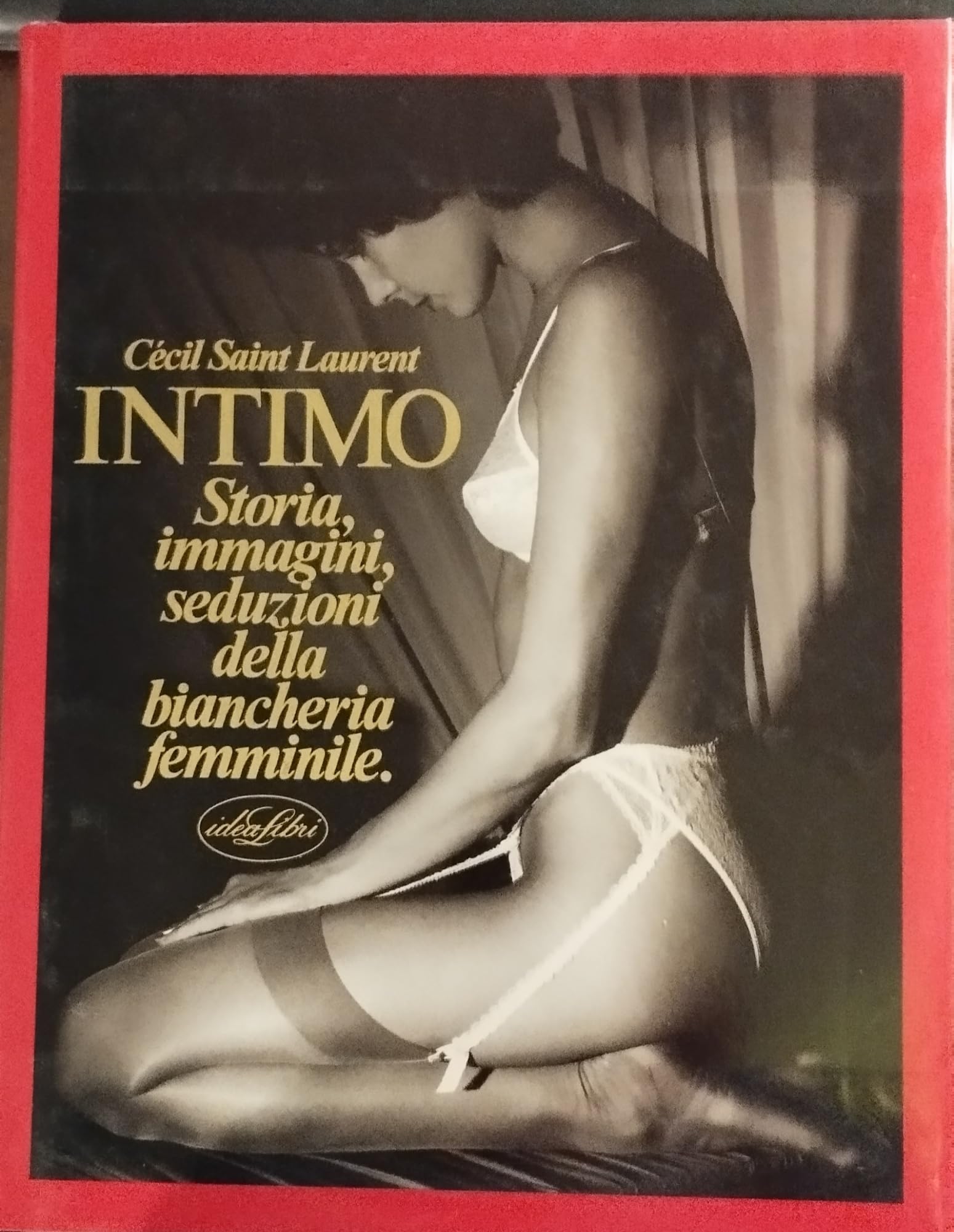 Intimo. Storia, immagini, seduzioni della biancheria femminile. Ediz. illustrata book