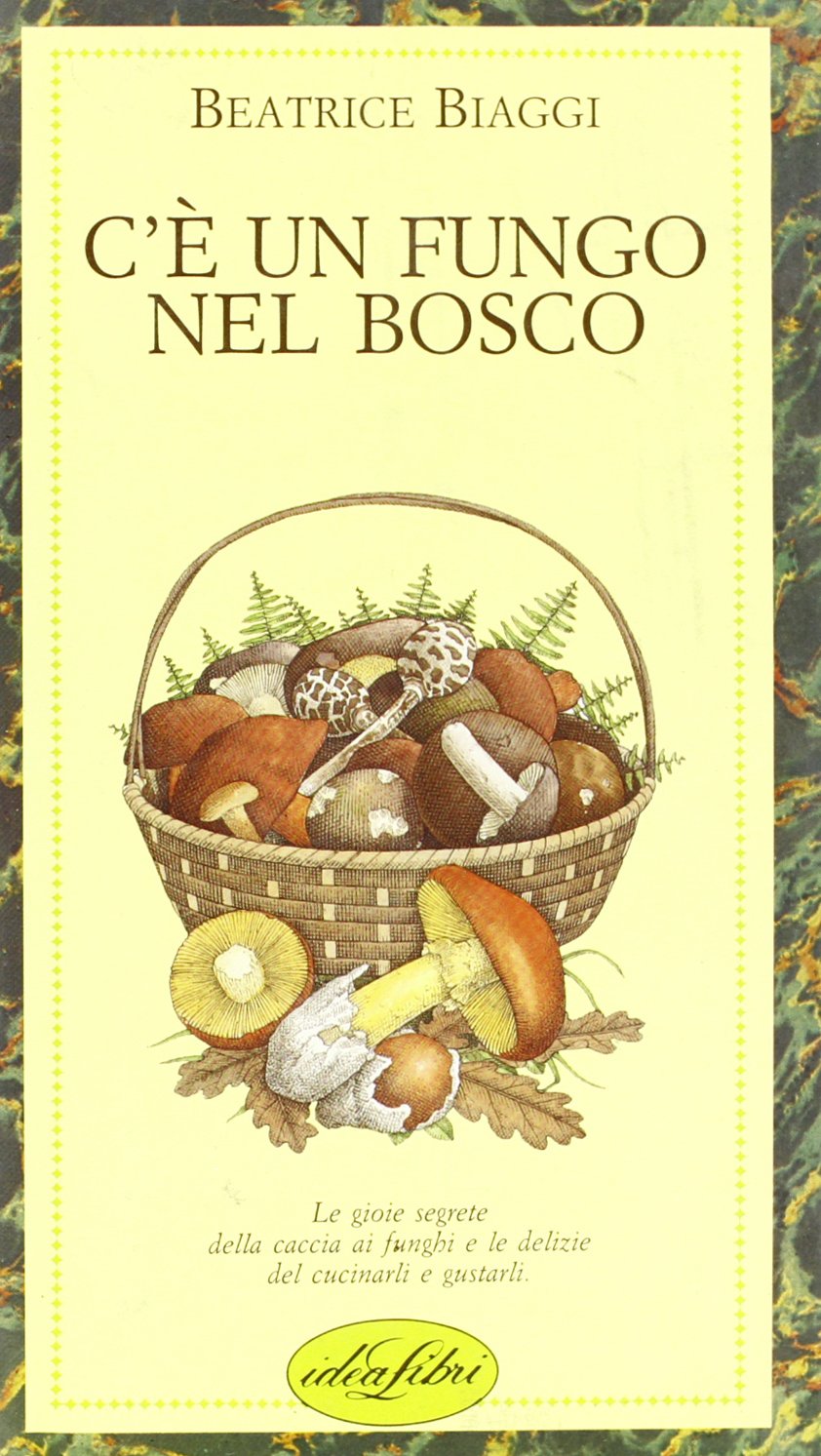 C'è un fungo nel bosco. Ediz. illustrata book