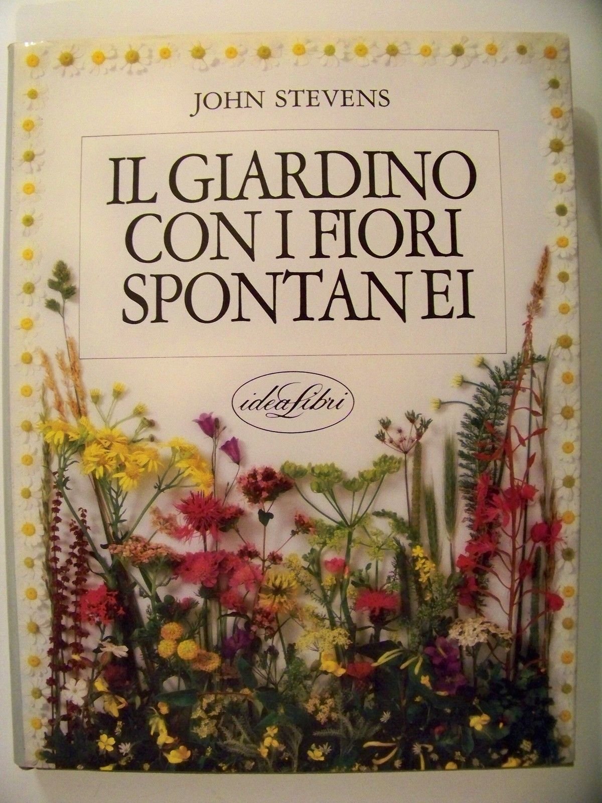 Il giardino con i fiori spontanei. Ediz. illustrata book