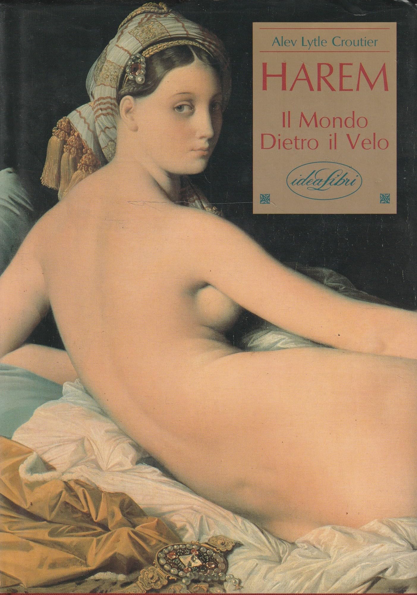 Harem: il mondo dietro il velo. Ediz. illustrata book