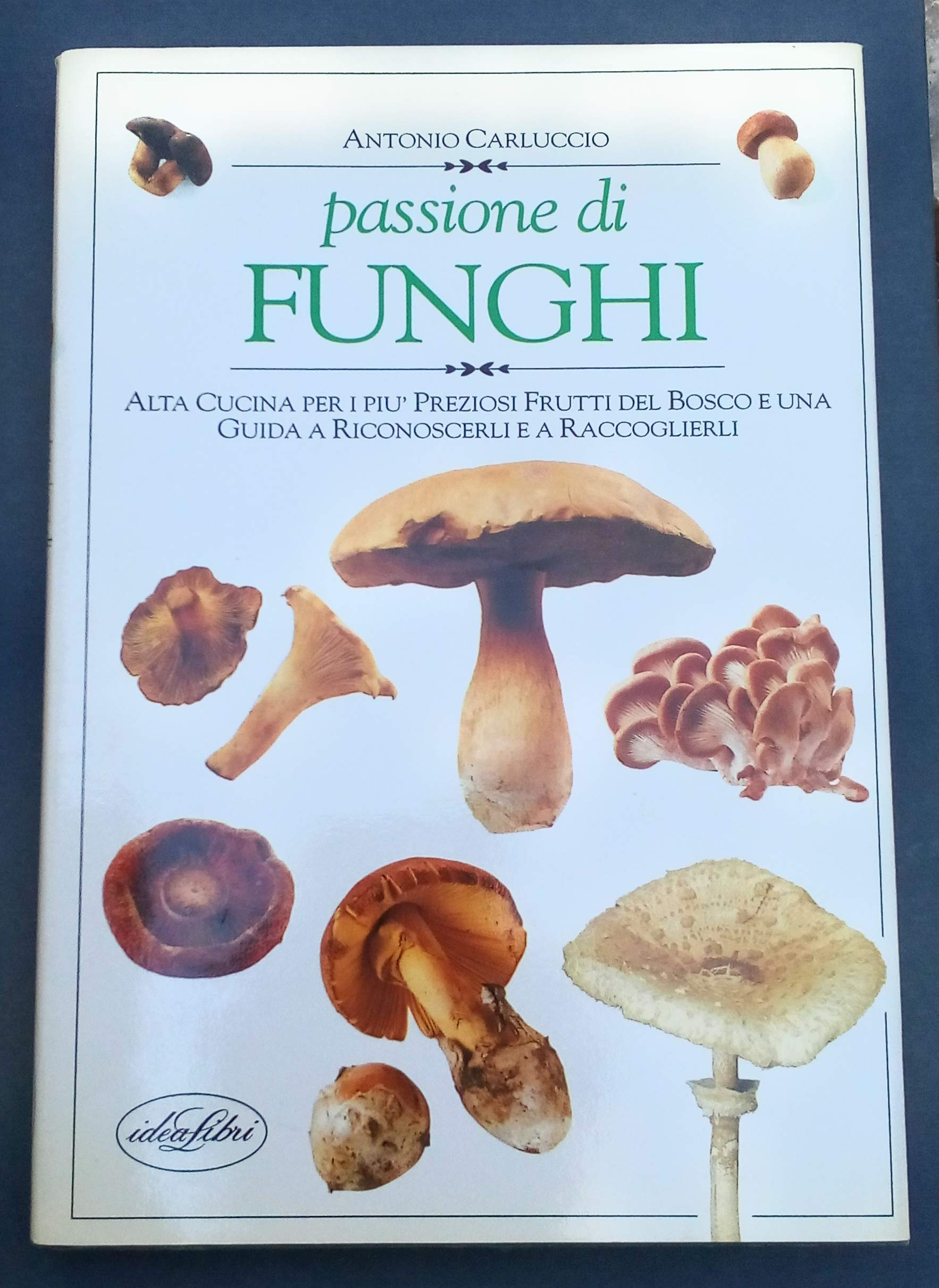 Passione di funghi. Ediz. illustrata book