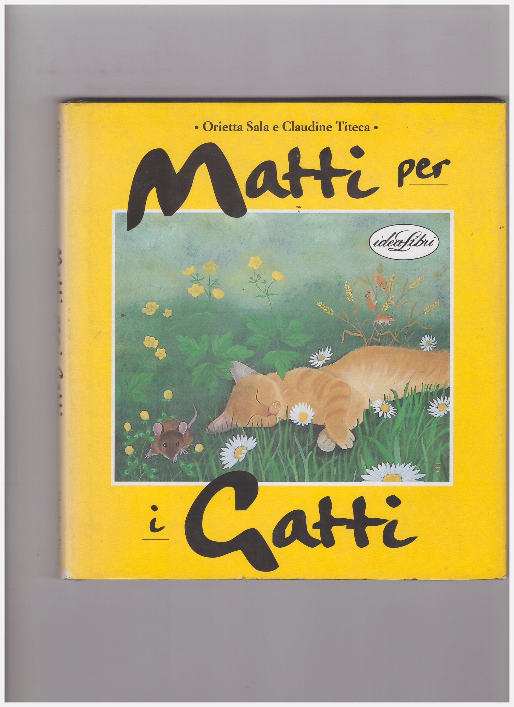 Matti per i gatti. Ediz. illustrata book