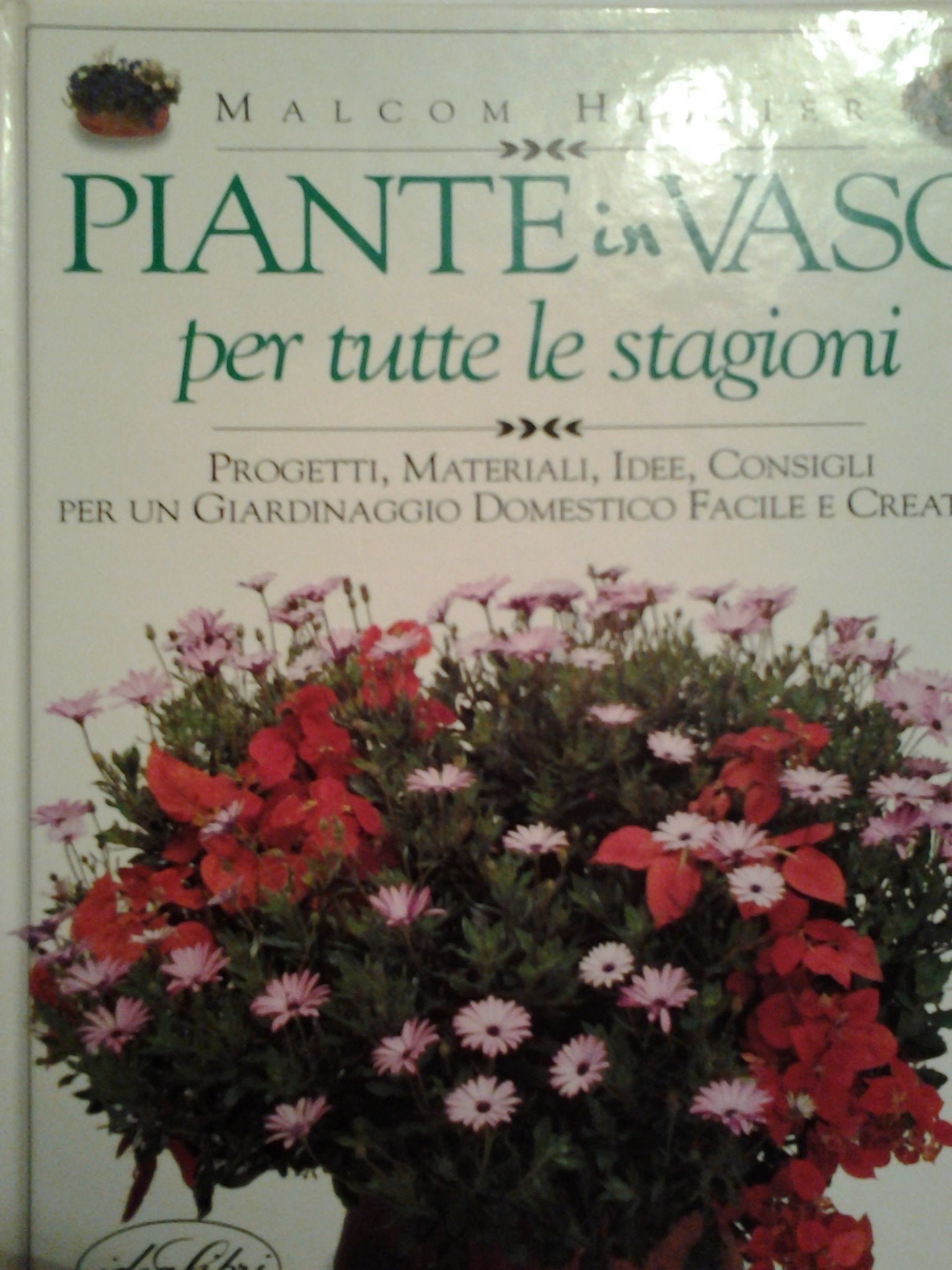 Piante in vaso per tutte le stagioni. Ediz. illustrata (Orto e giardino) Garden & Plants