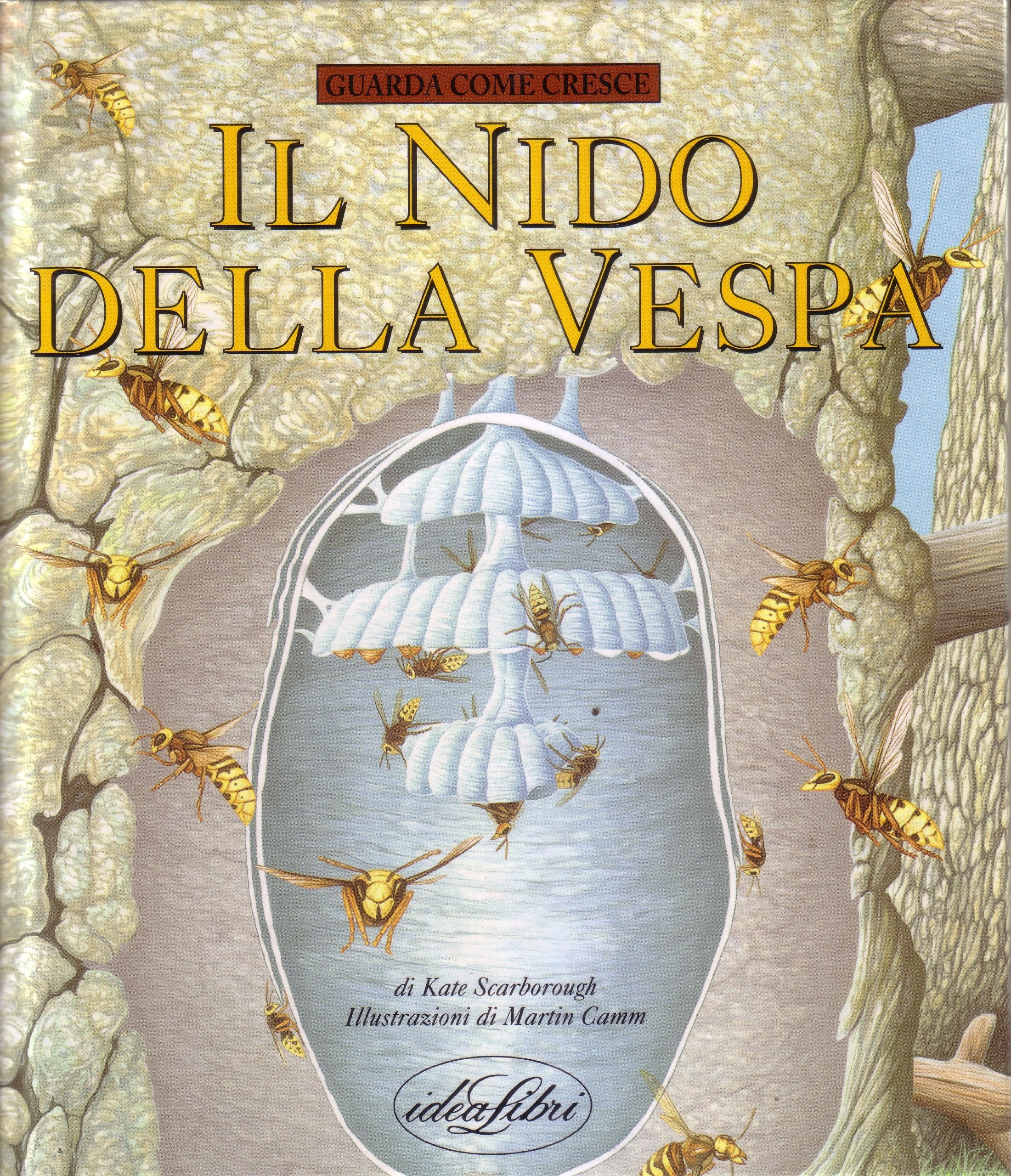 Il nido della vespa. Ediz. illustrata book