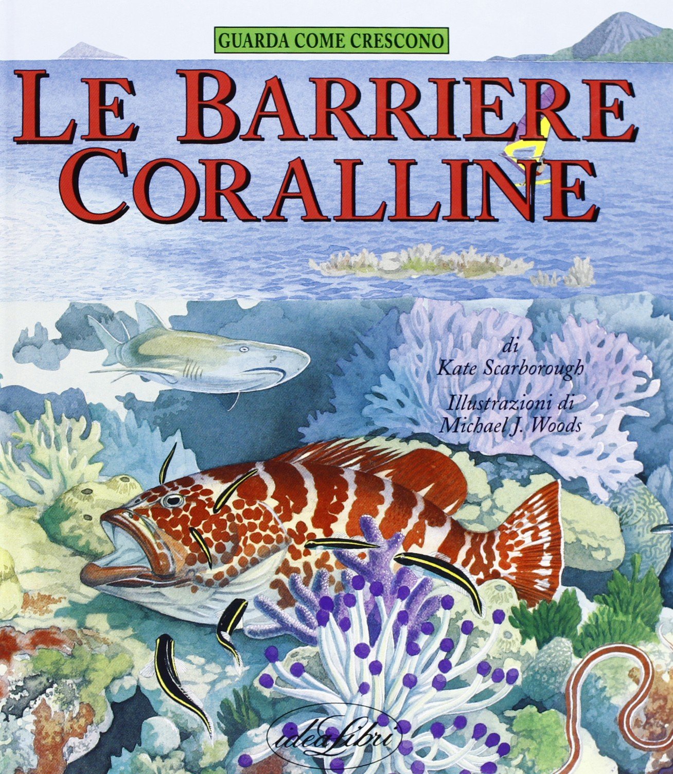 Le barriere coralline. Ediz. illustrata (Bambini. Guarda come cresce) Books