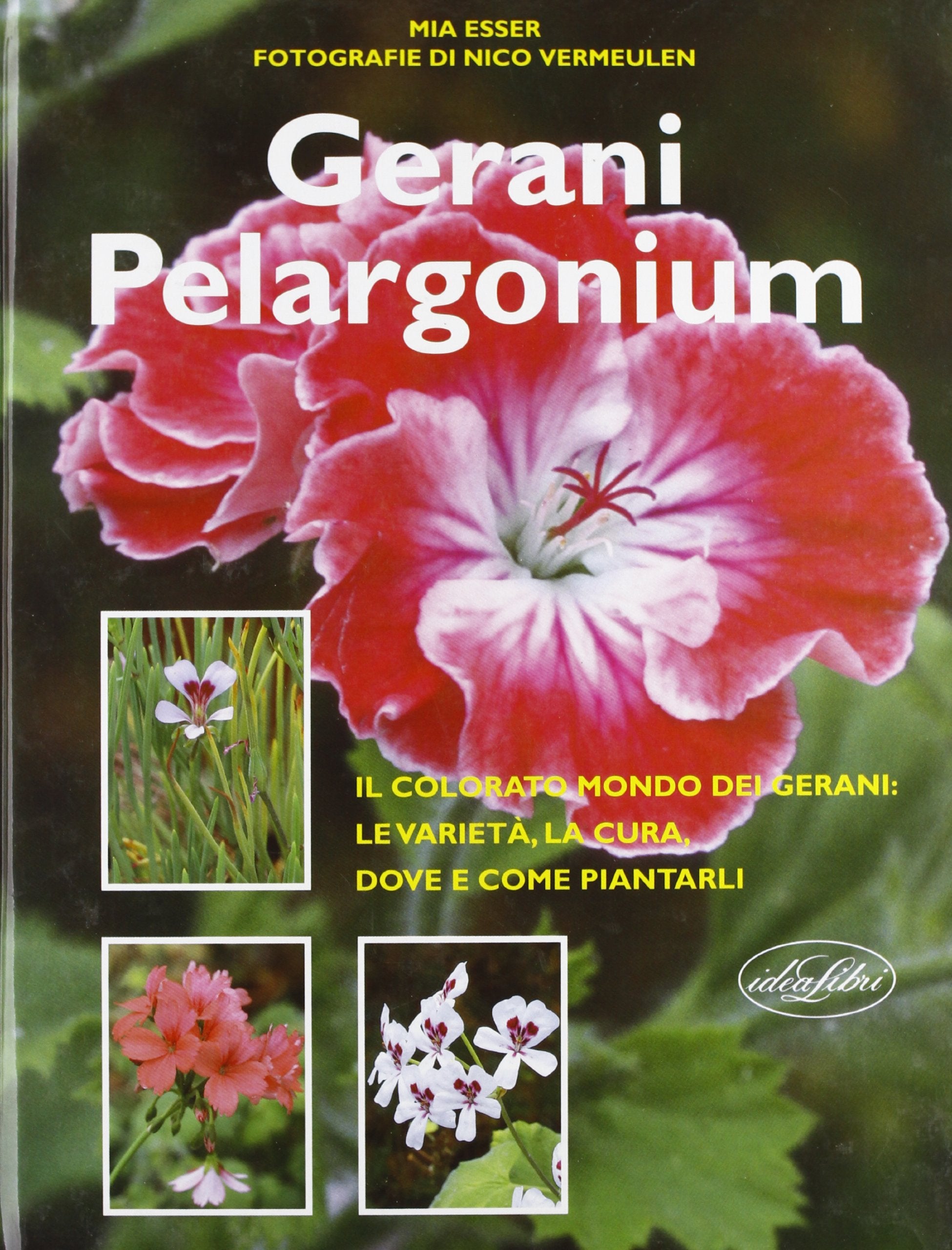 Gerani Pelargonium. Ediz. illustrata (Fiori e fiori) Garden & Plants
