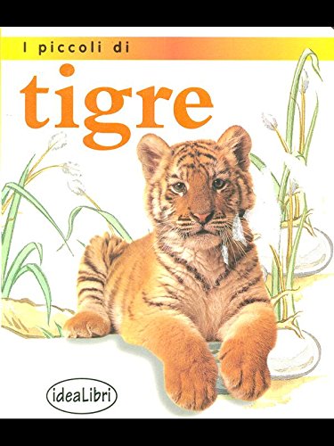 I piccoli di... Tigre. Ediz. illustrata book
