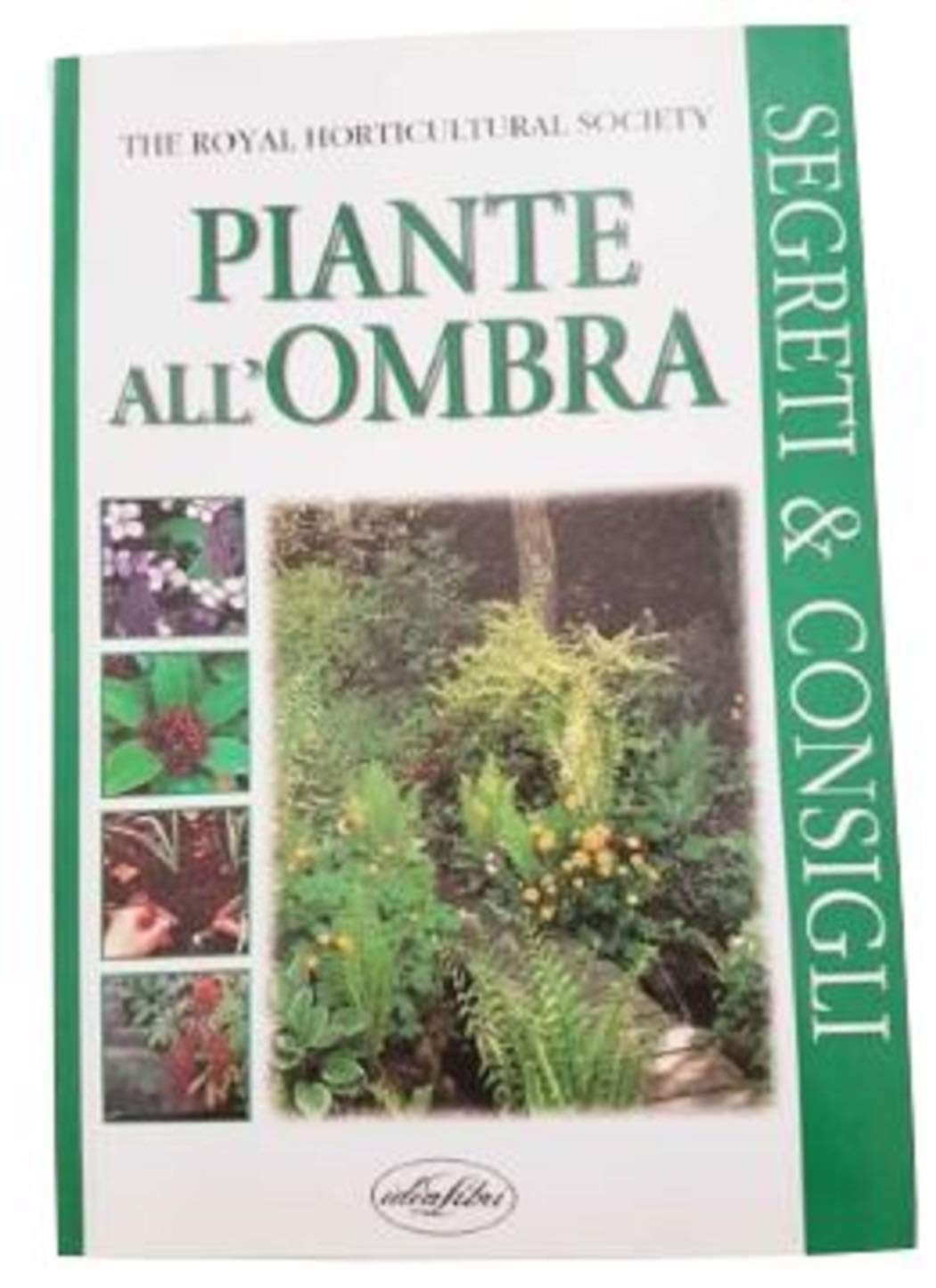 Piante all'ombra. Ediz. illustrata (Manuali RHS) Leisure, Home & Garden