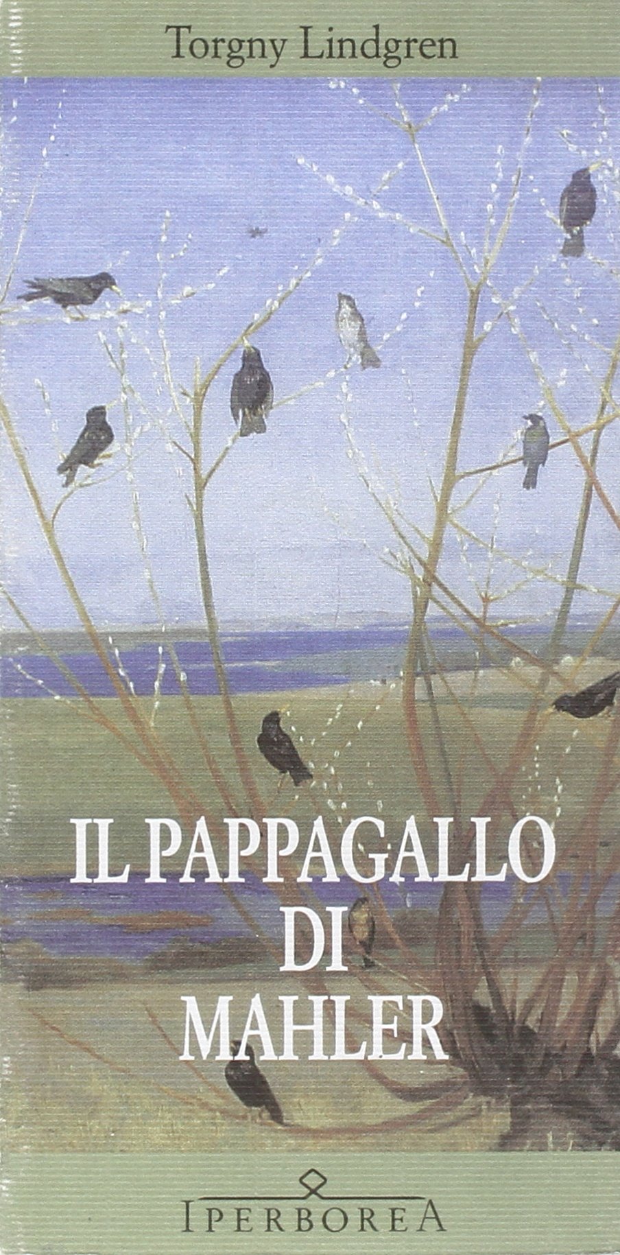 Il pappagallo di Mahler book