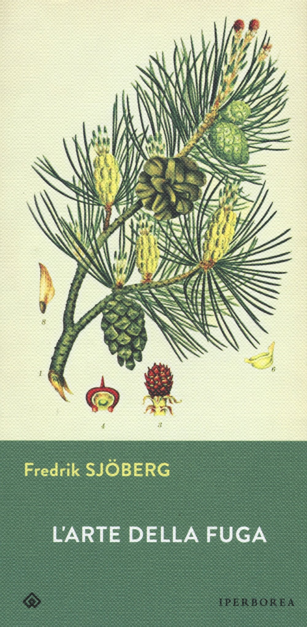 L'arte della fuga book