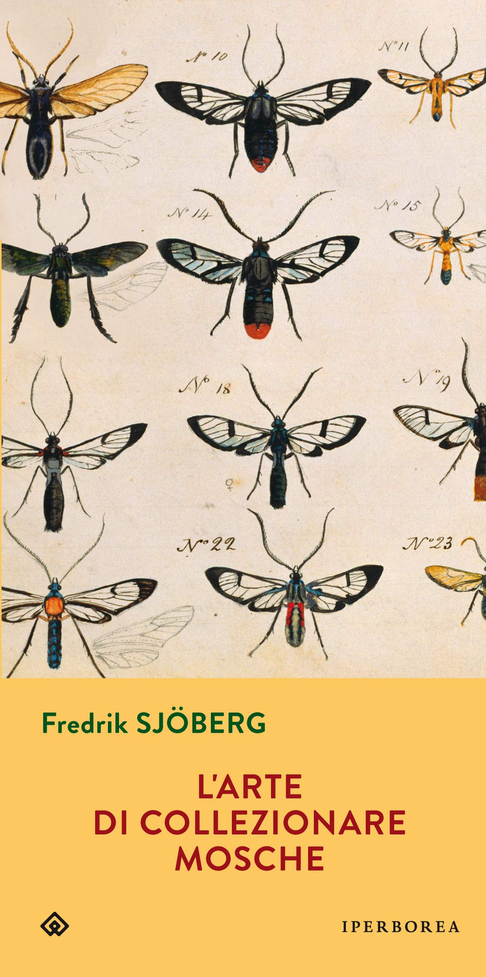 L'arte di collezionare mosche book