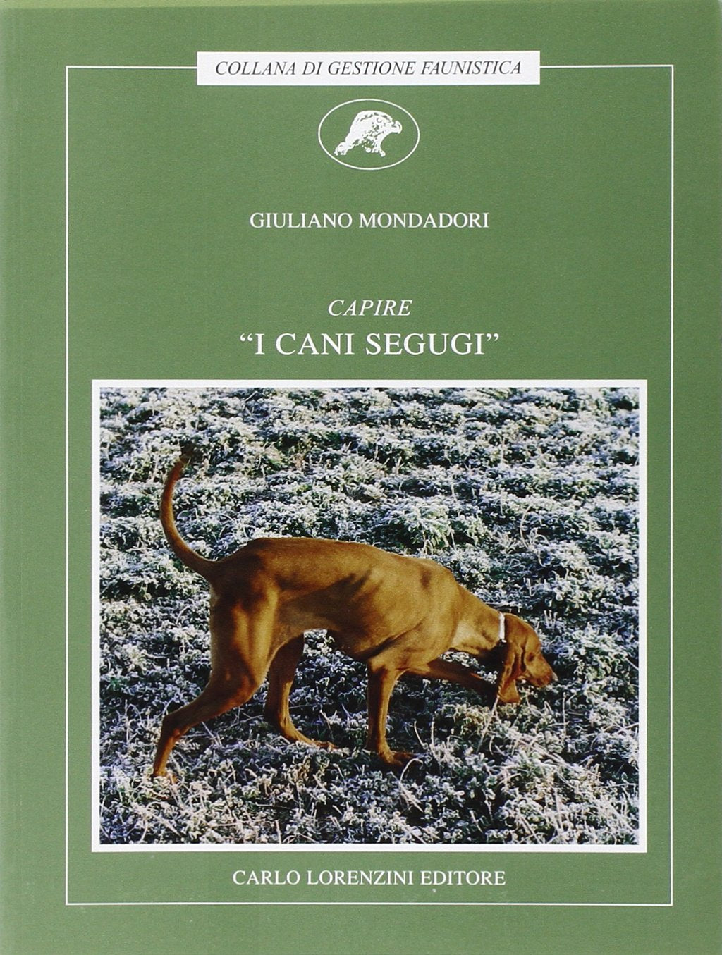 Capire «i cani segugi» book