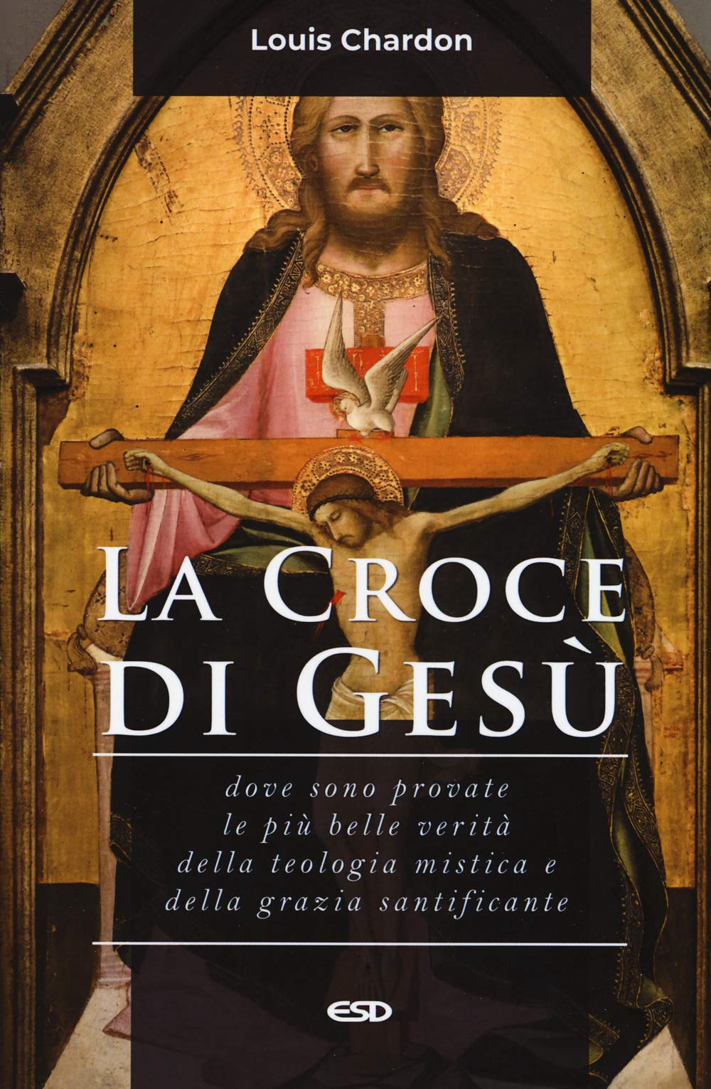 La croce di Gesù. Dove sono provate le più belle verità della teologia mistica e della grazia santificante book