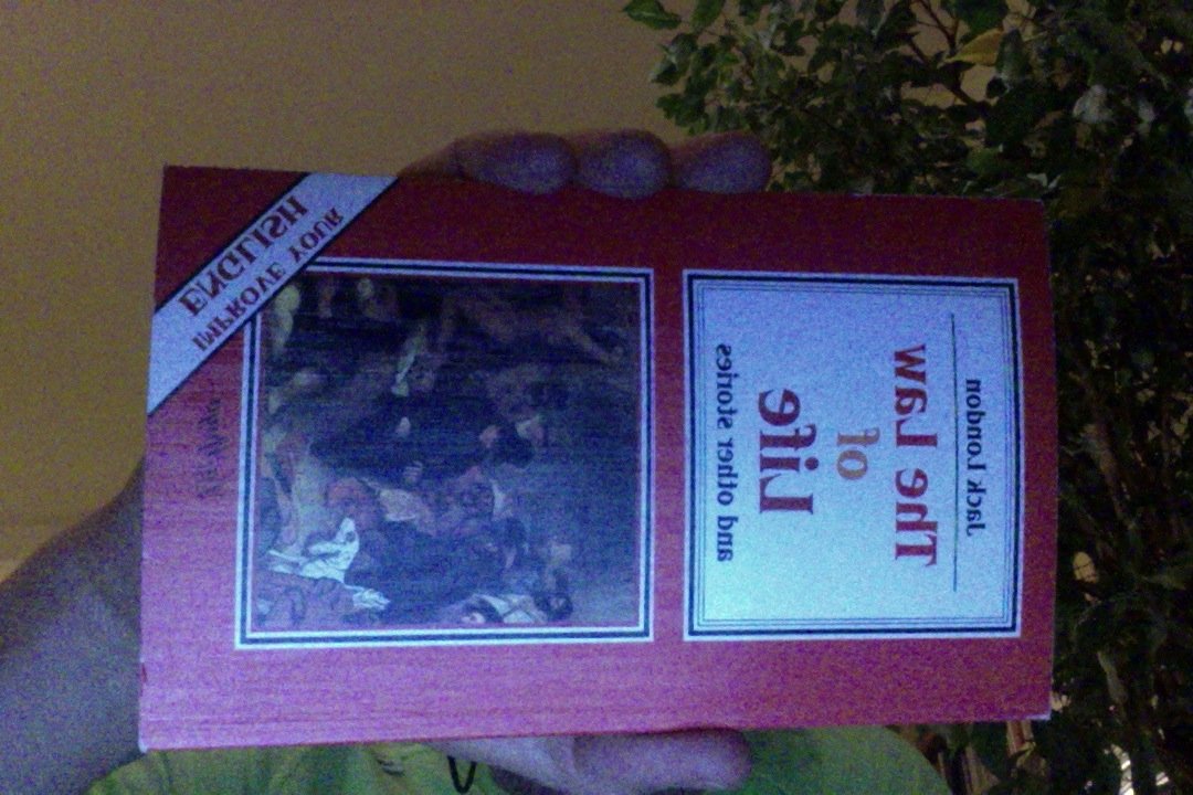 The Law of Life (The Spike, Band 31) Foreign Languages ​​& Dictionaries