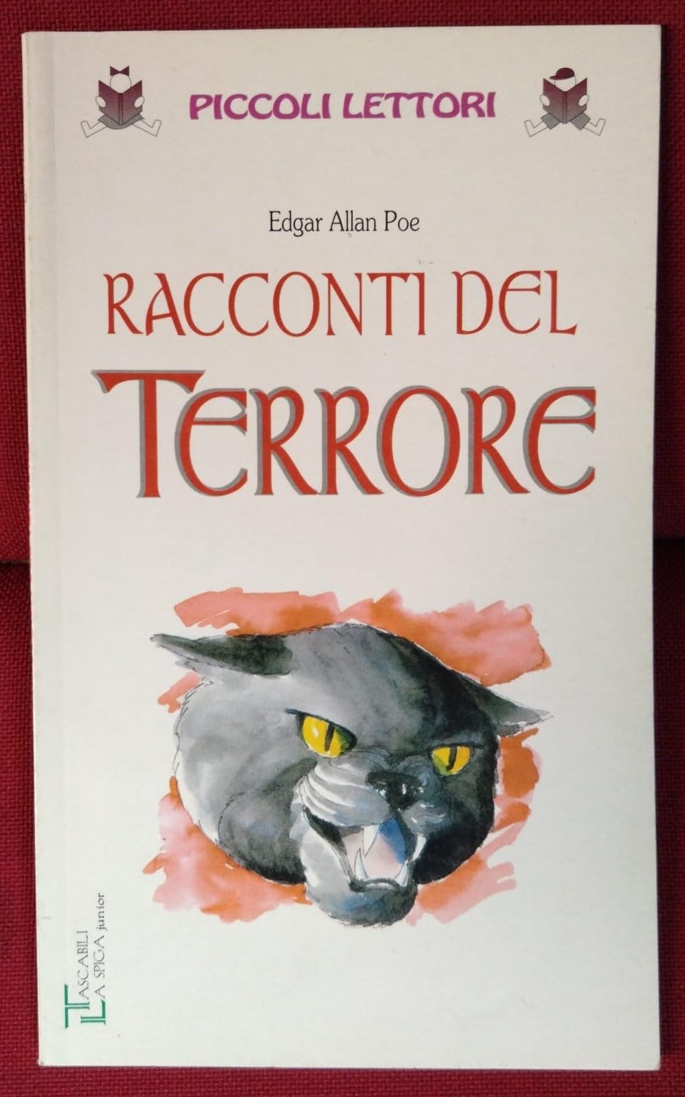 Racconti del terrore book
