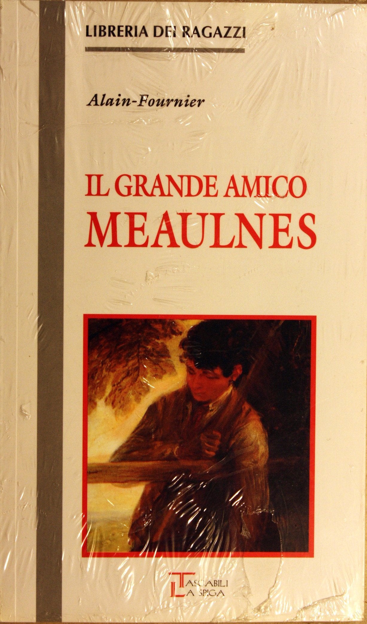 Il grande amico Meaulnes (Libreria dei ragazzi) Novels & Short Stories