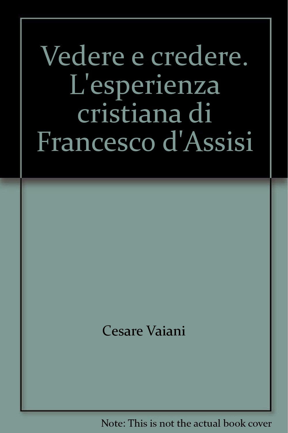 Vedere e credere. L'esperienza cristiana di Francesco d'Assisi (Sapientia) Religion & Esotericism