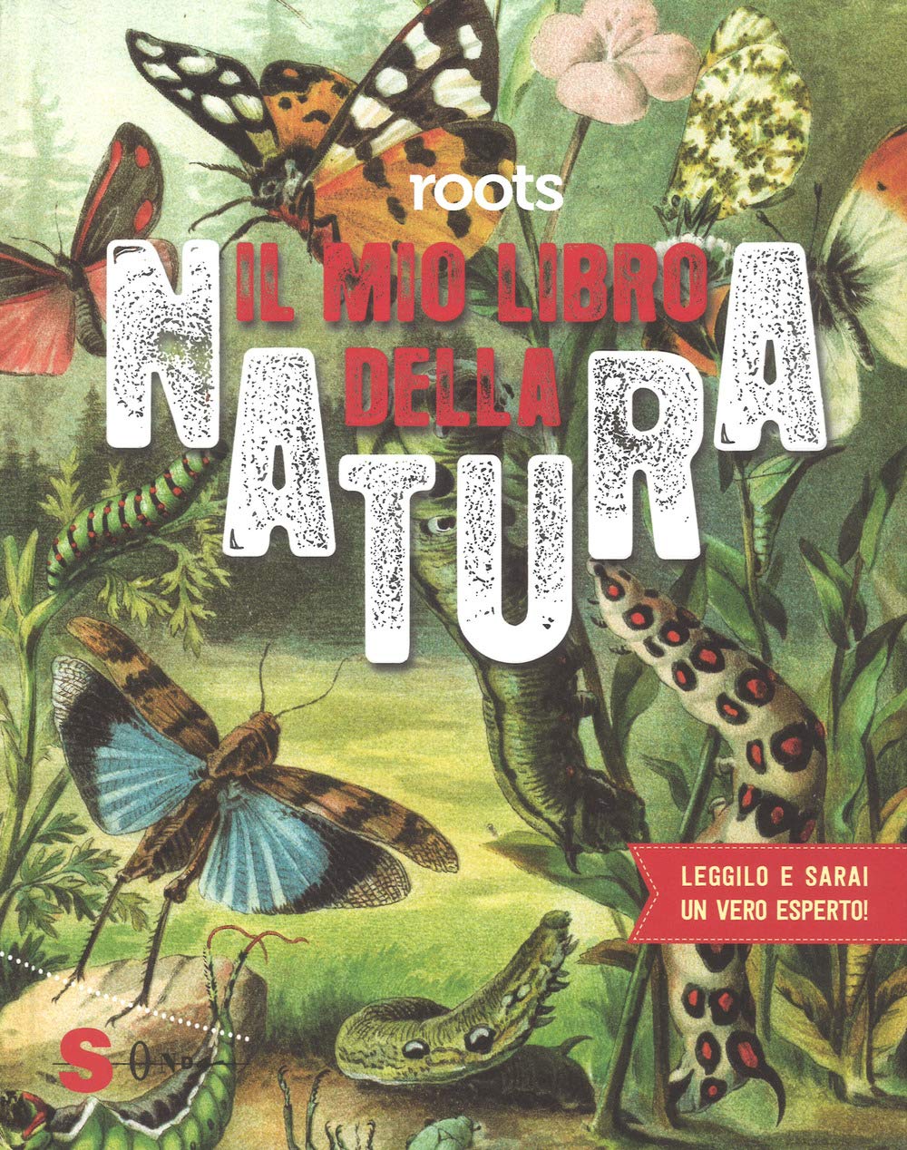 Roots. Il mio libro della natura. Ediz. a colori book