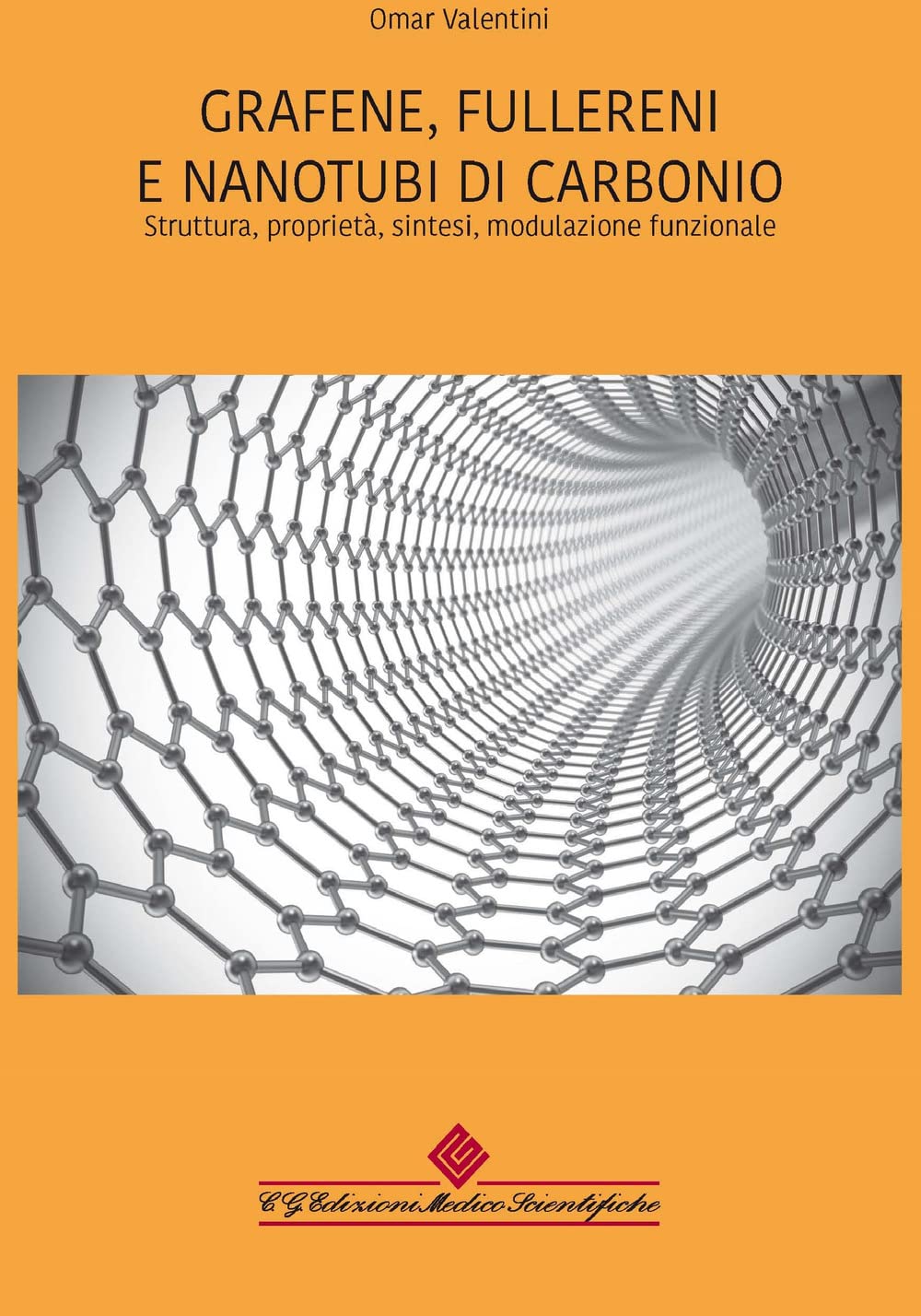 Grafene, fullereni e nanotubi di carbonio. Struttura, proprietà, sintesi, modulazione funzionale book