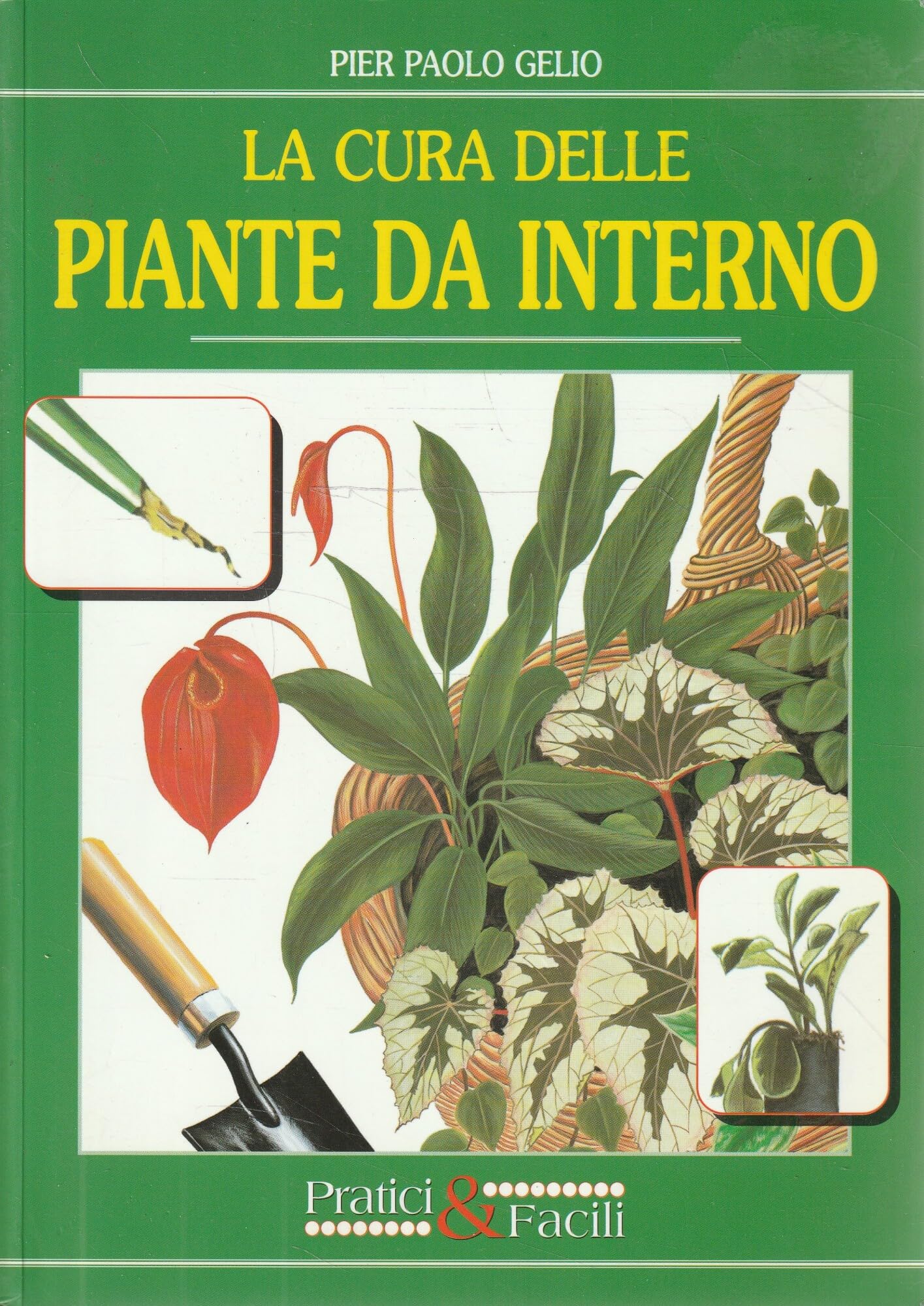 La cura delle piante da interno. Come curare le principali malattie Garden & Plants
