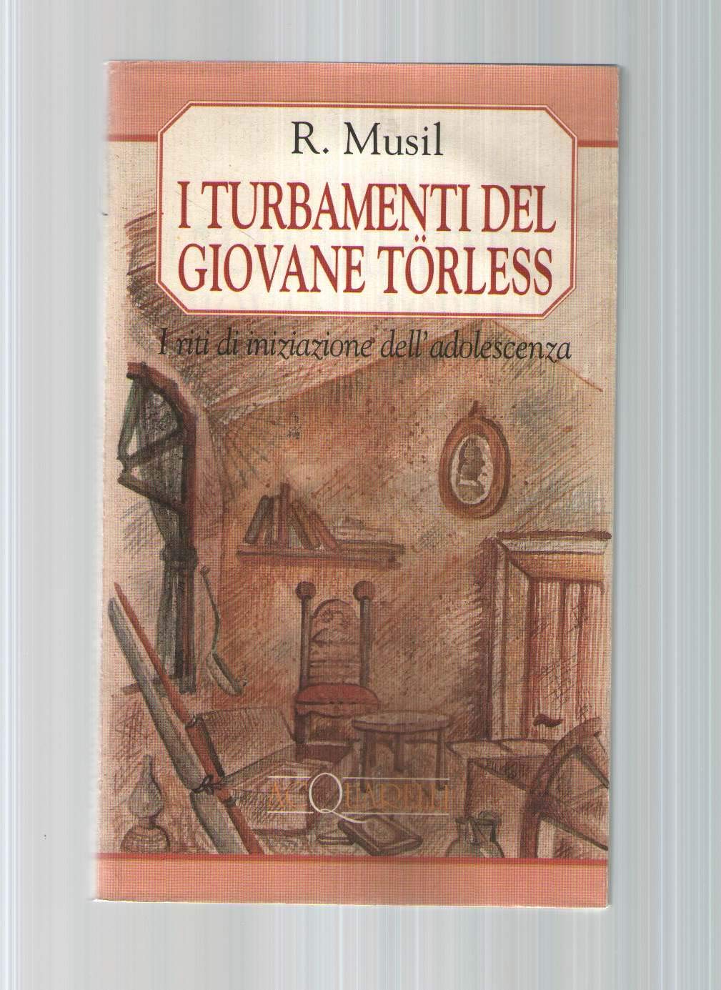 I turbamenti del giovane Törless book