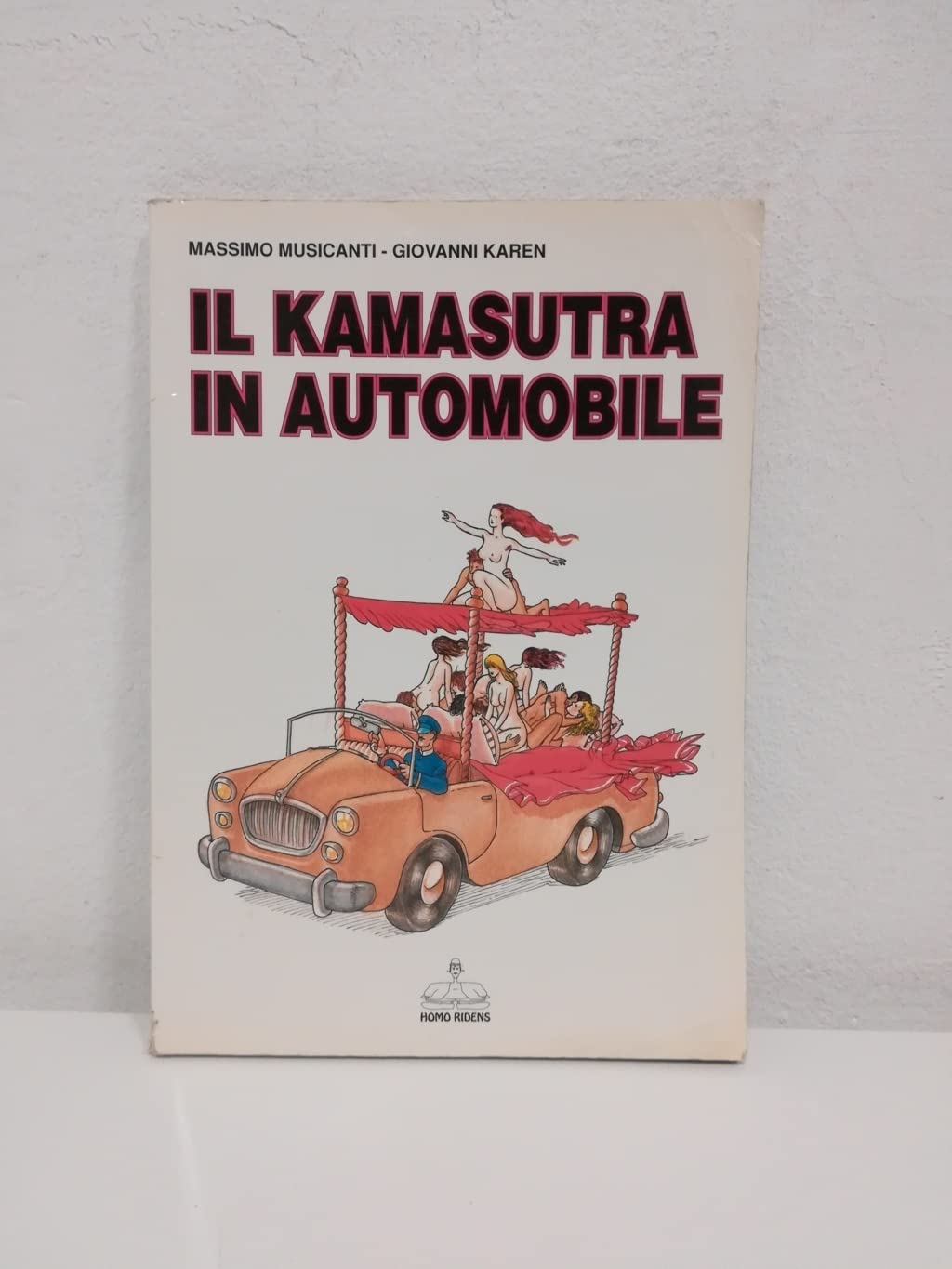 Il kamasutra in automobile book