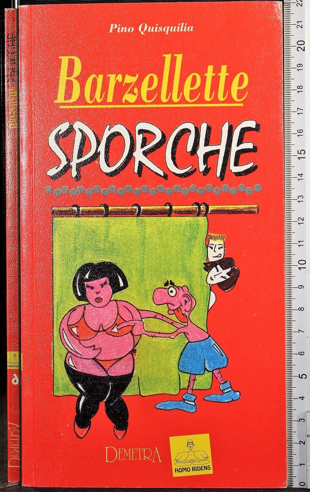 Barzellette sporche book