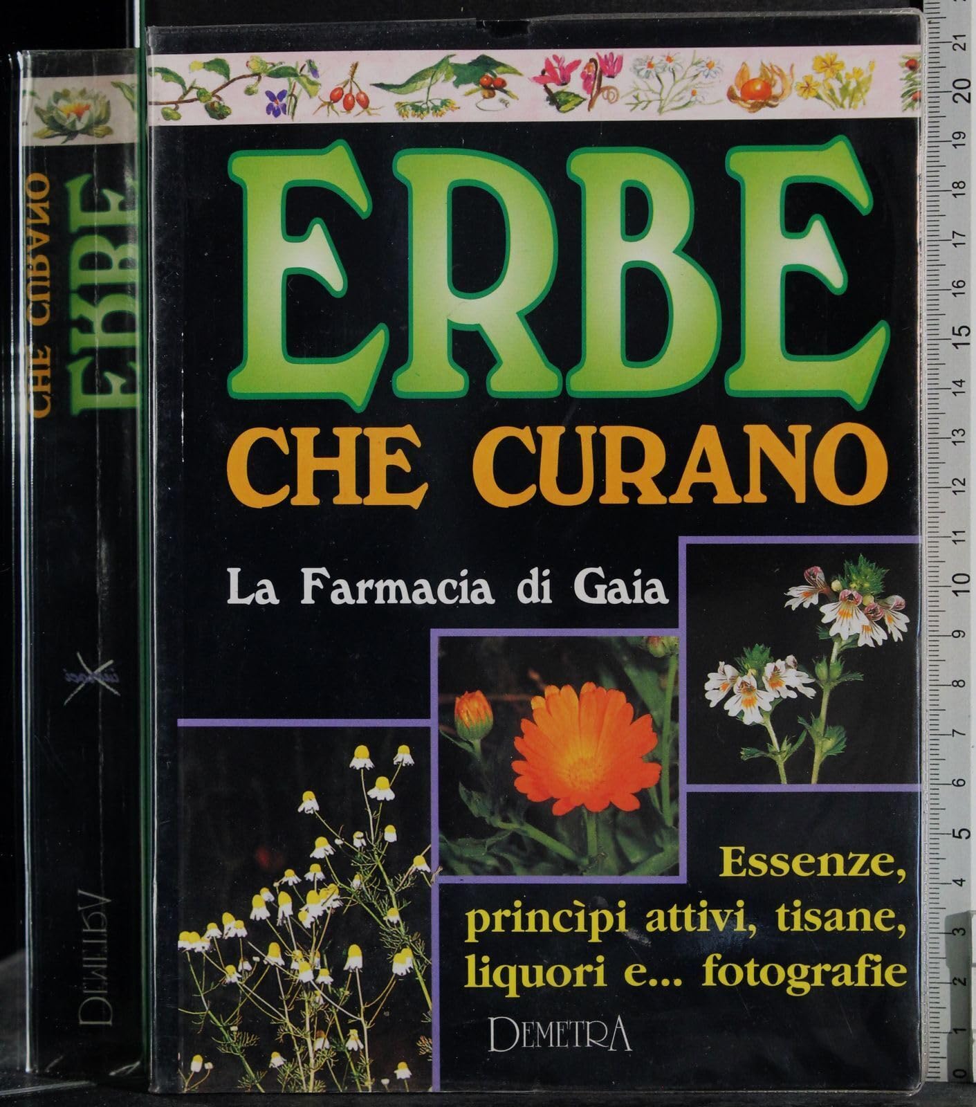 Erbe che curano. La farmacia di Gaia (Incroci) Health, Nutrition & Fitness