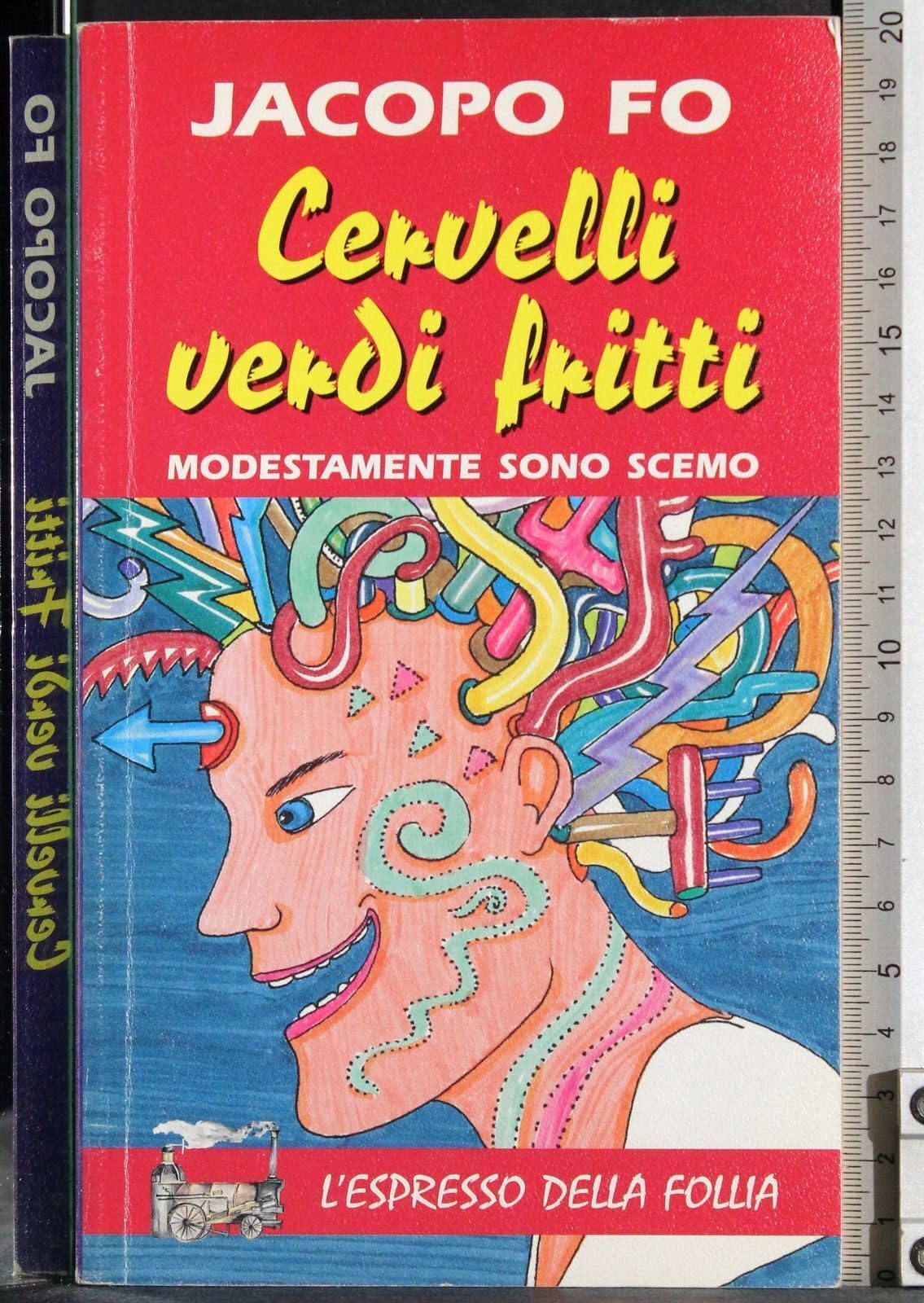 Cervelli verdi fritti. Come diventare scemo in 15 lezioni (L' espresso) Leisure, Home & Garden
