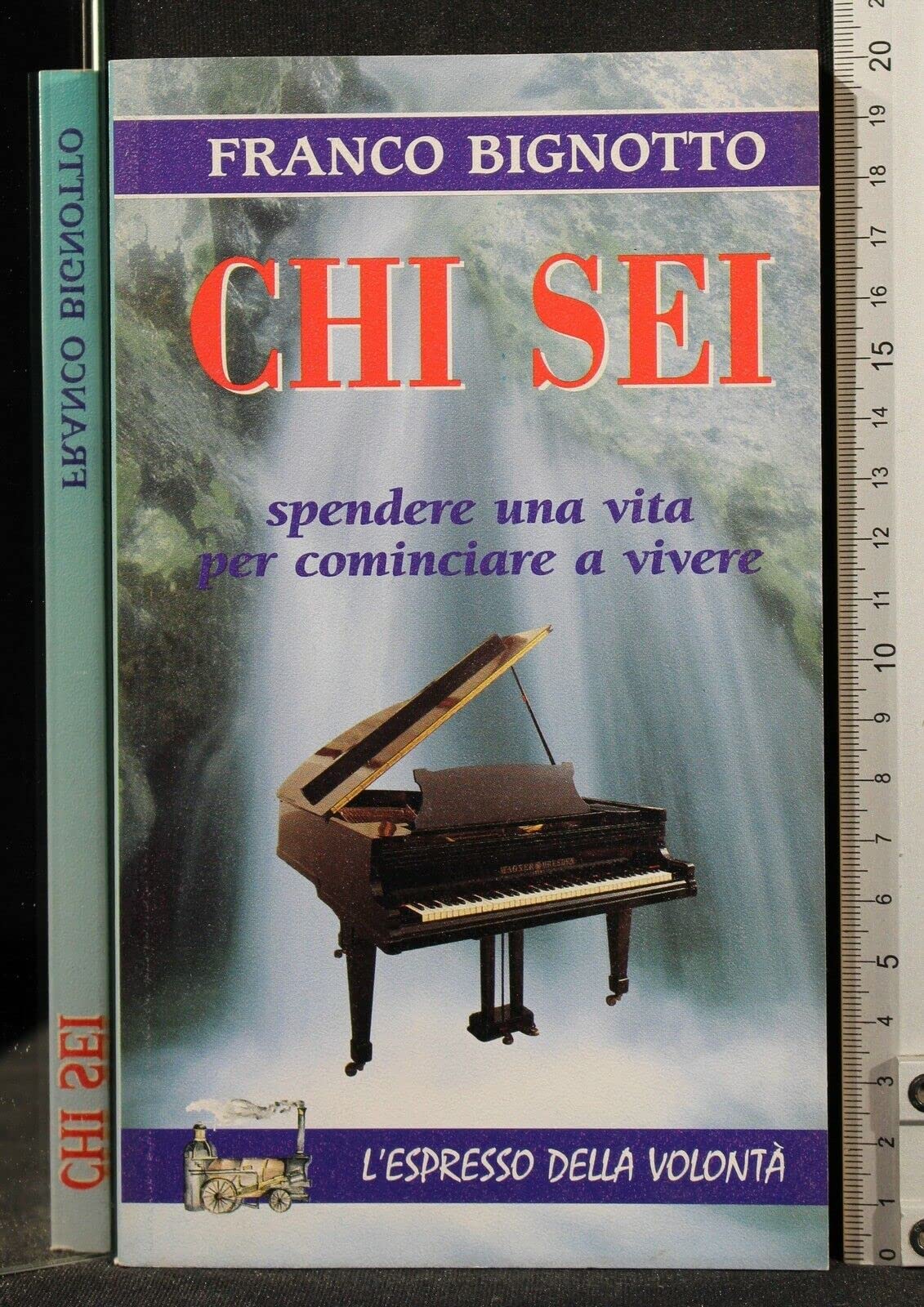 Chi sei. Spendere una vita per cominciare a vivere book