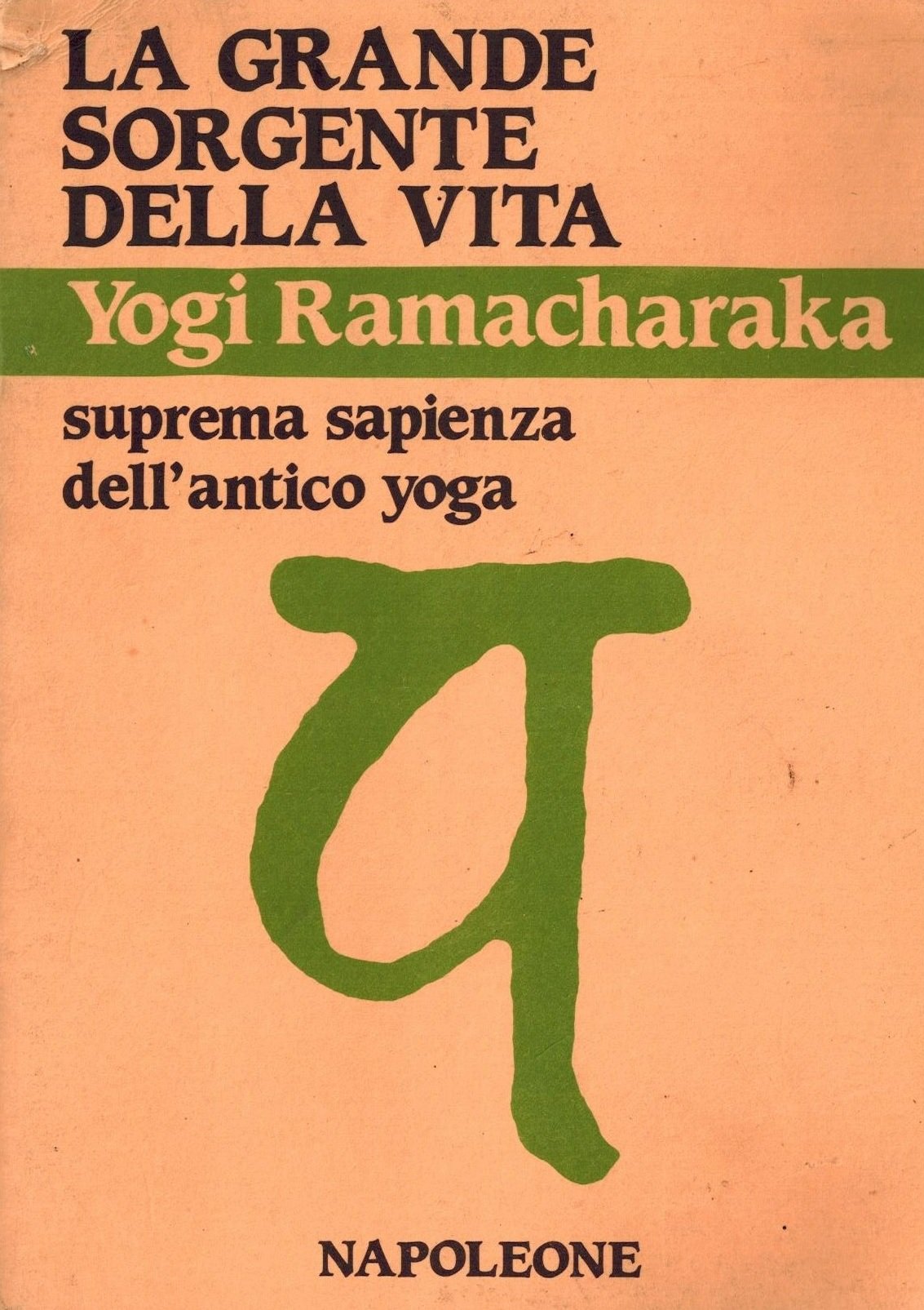 La grande sorgente della vita. Suprema sapienza dell'antico yoga book