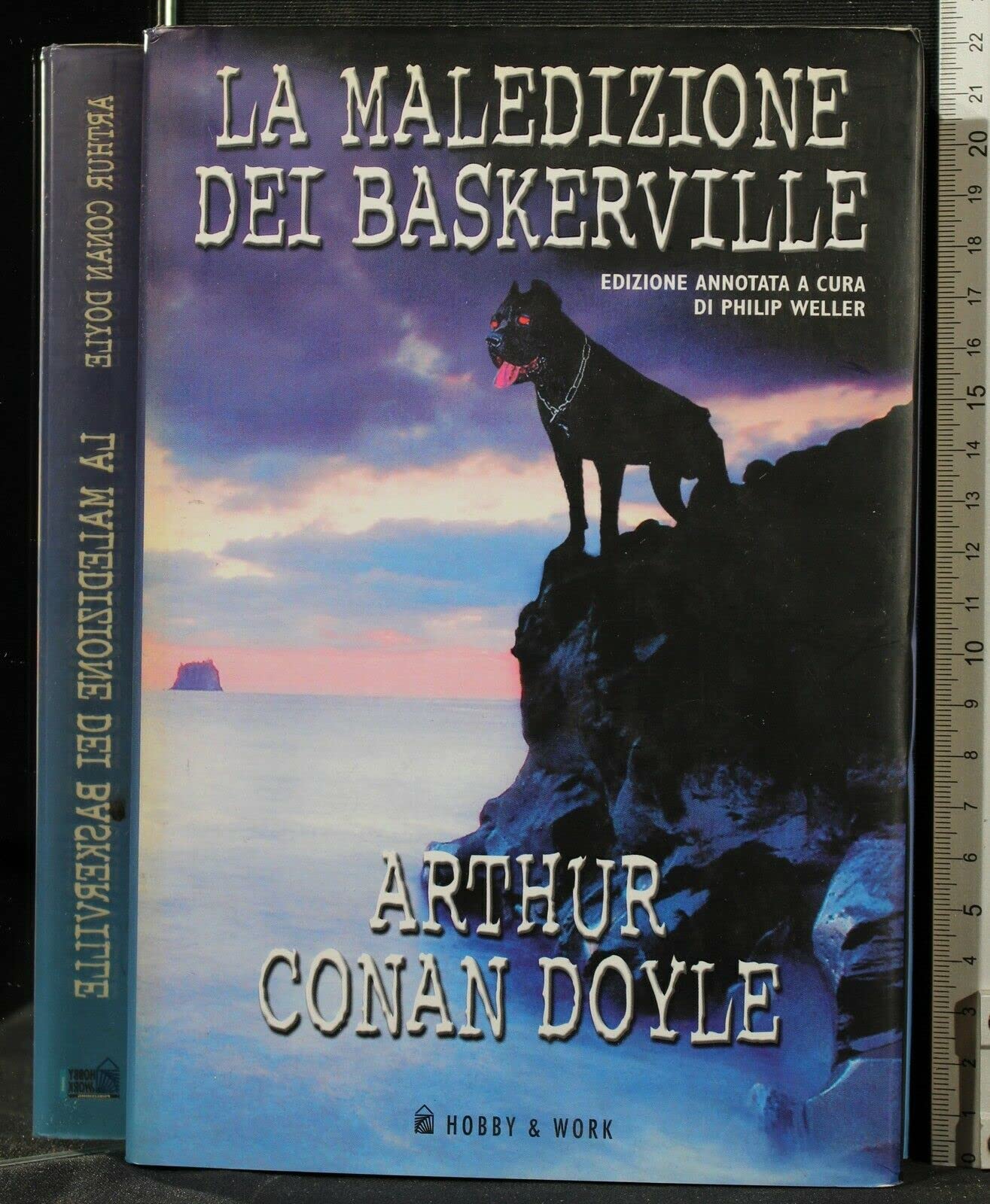 La maledizione dei Baskerville (Euronoir) Contemporary literature