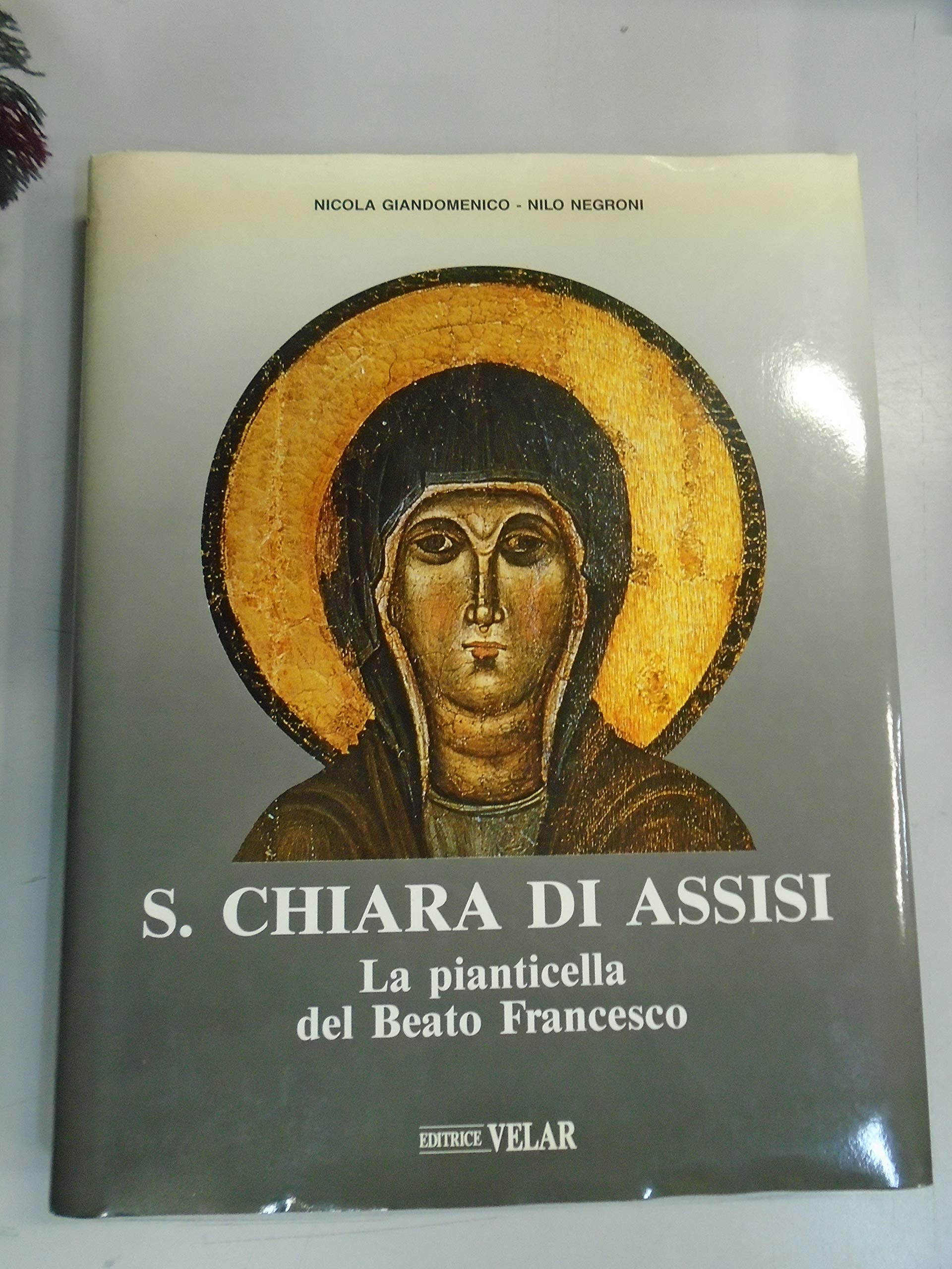 Santa Chiara di Assisi. La pianticella del beato Francesco book