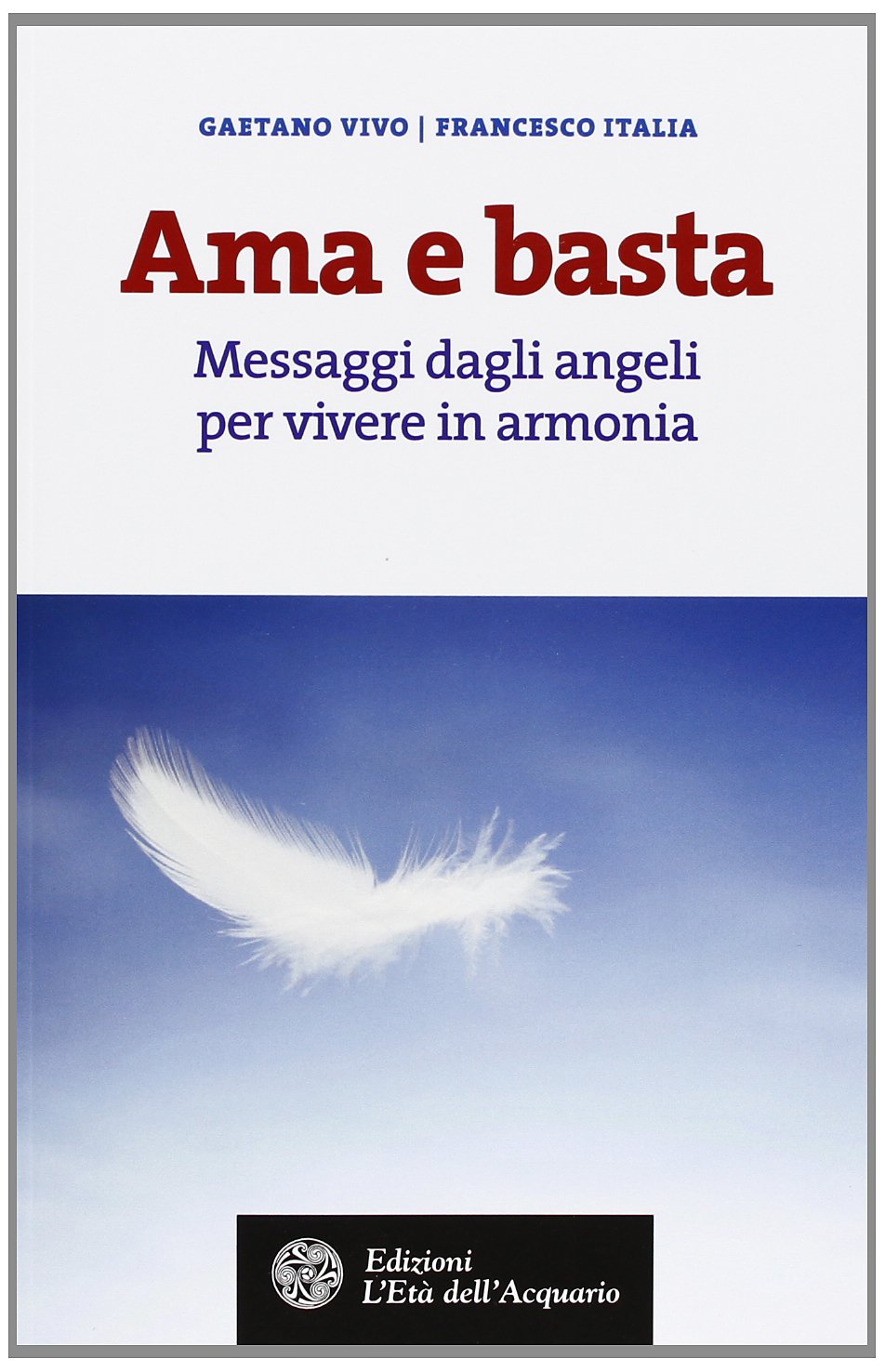 Ama e basta. Messaggi dagli angeli per vivere in armonia book