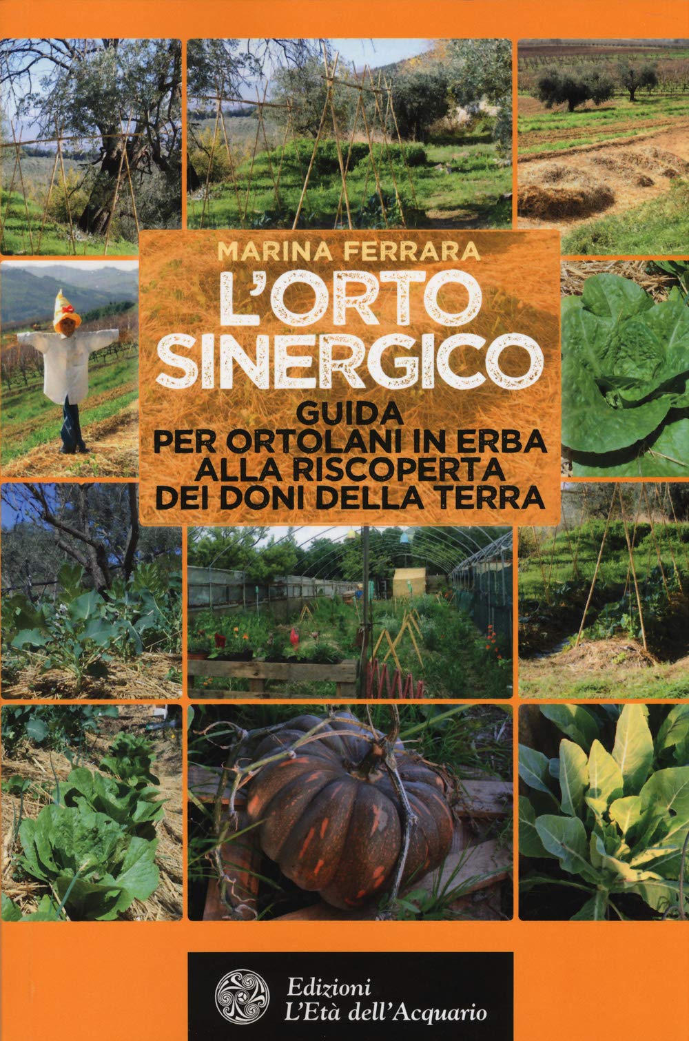 L'orto sinergico. Guida per ortolani in erba alla riscoperta dei doni della terra (Altrimondi) Mathematics