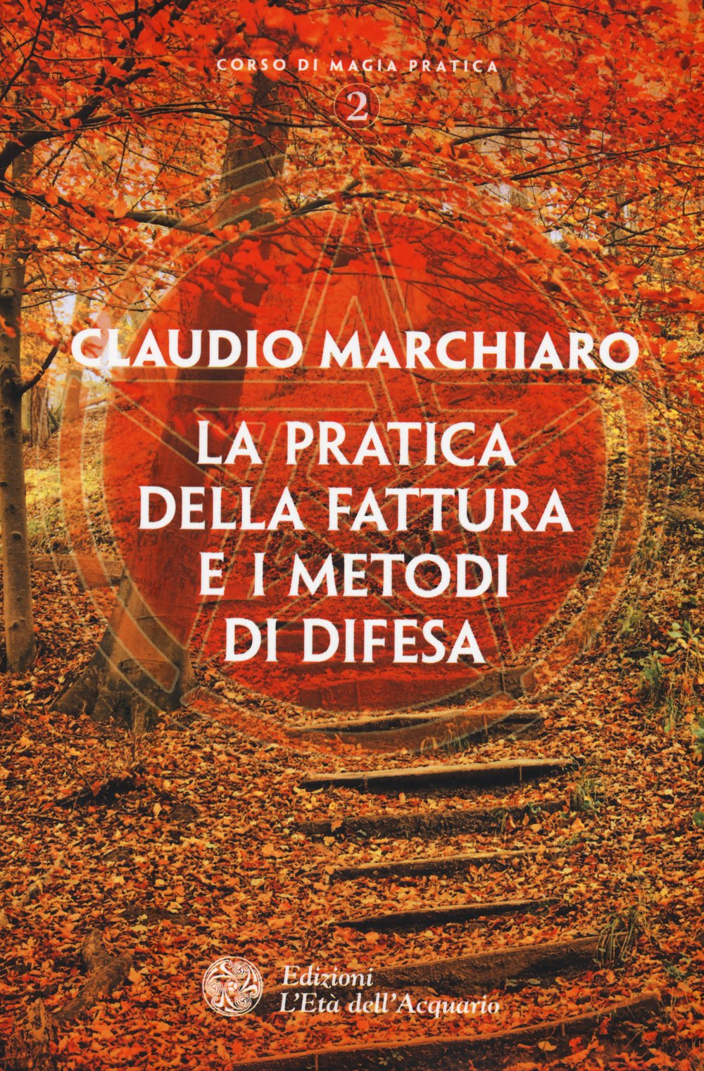 La pratica della fattura e i metodi di difesa book