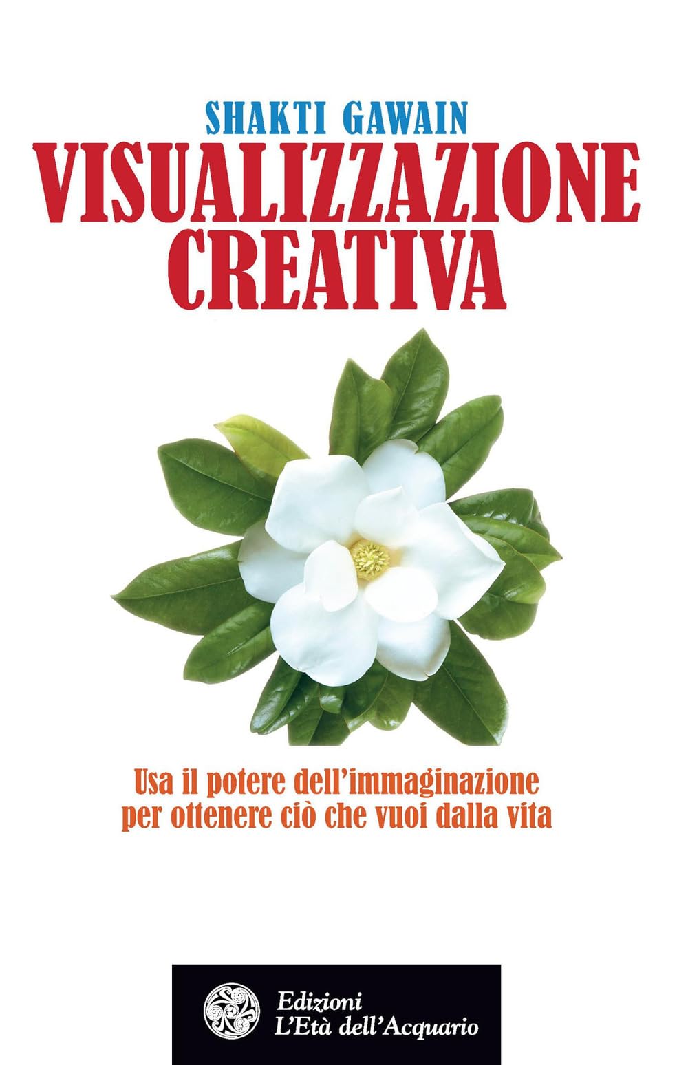 Visualizzazione creativa. Usa il potere dell'immaginazione per ottenere ciò che vuoi nella vita book