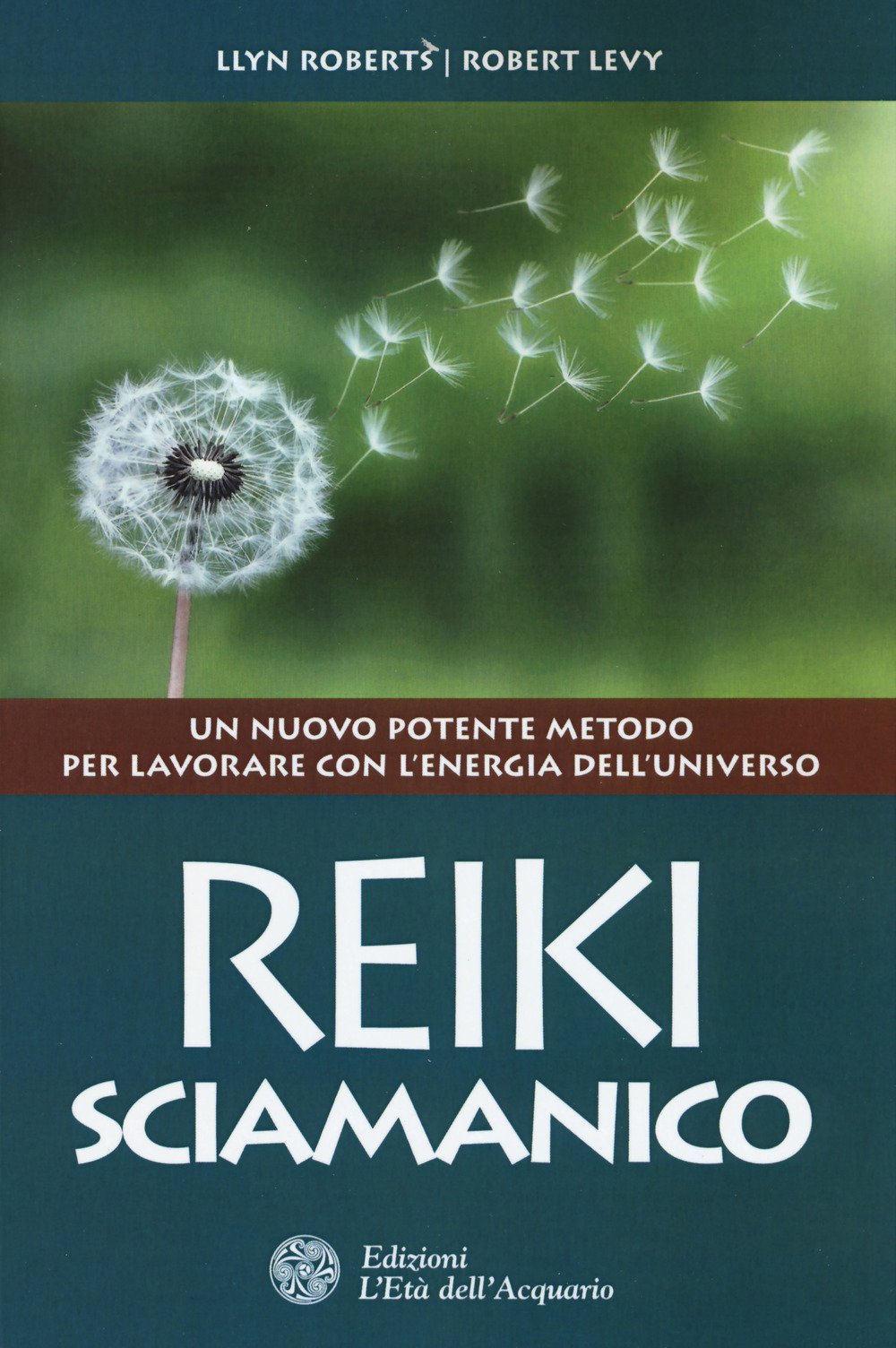 Reiki sciamanico. Un nuovo potente metodo per lavorare con l'energia dell'universo book