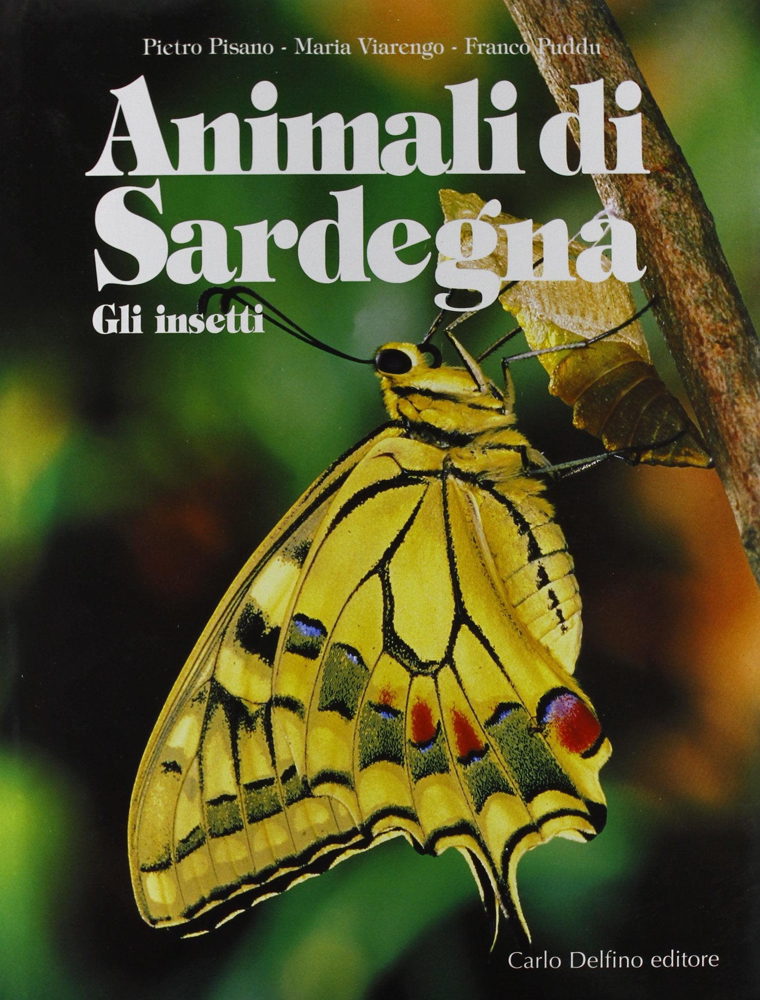 Animali di Sardegna. Gli insetti book