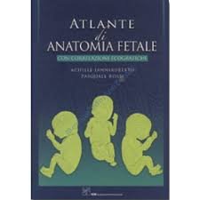 Atlante di anatomia fetale con correlazioni ecografiche. Ediz. illustrata Medicine