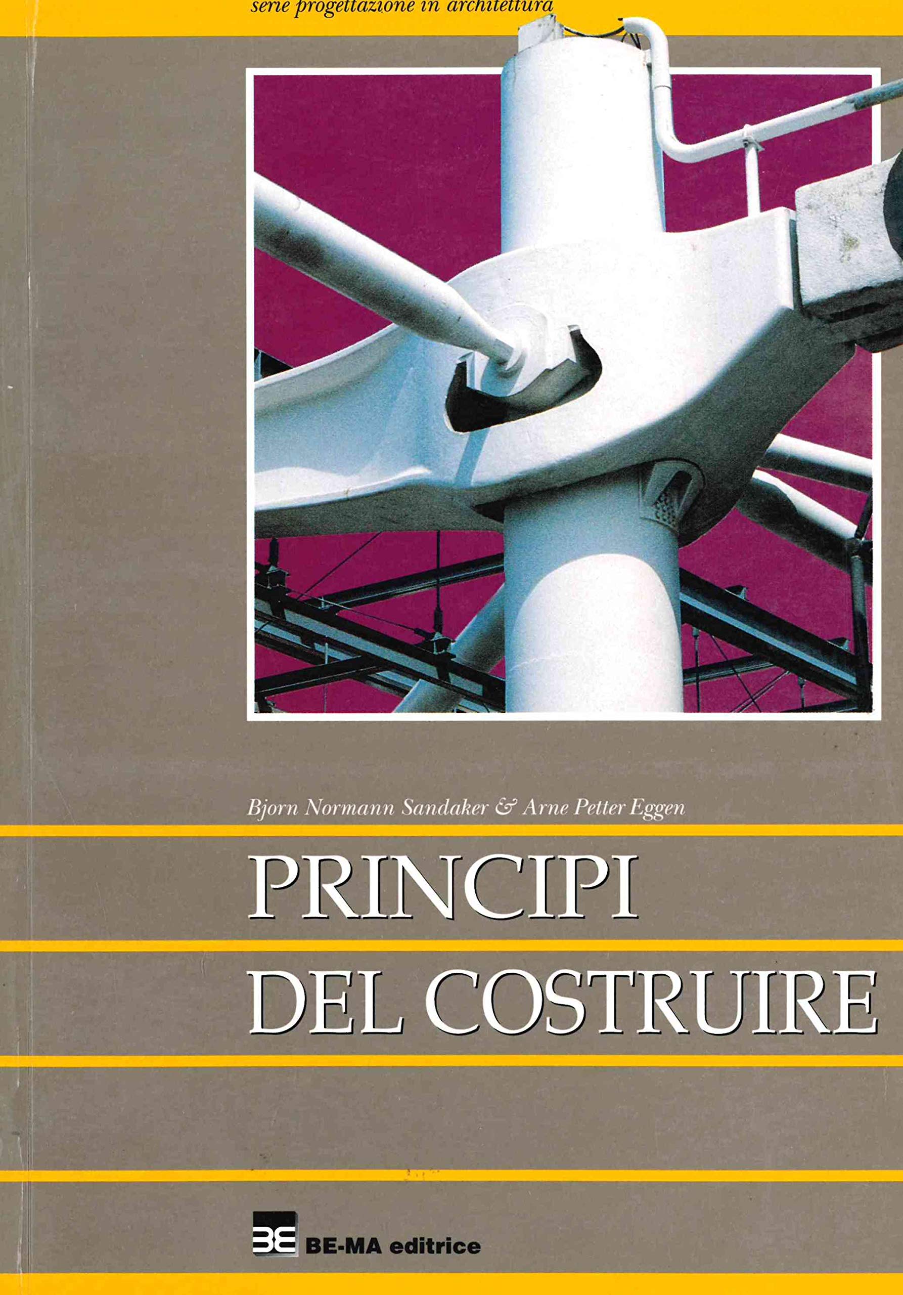 Principi del costruire book