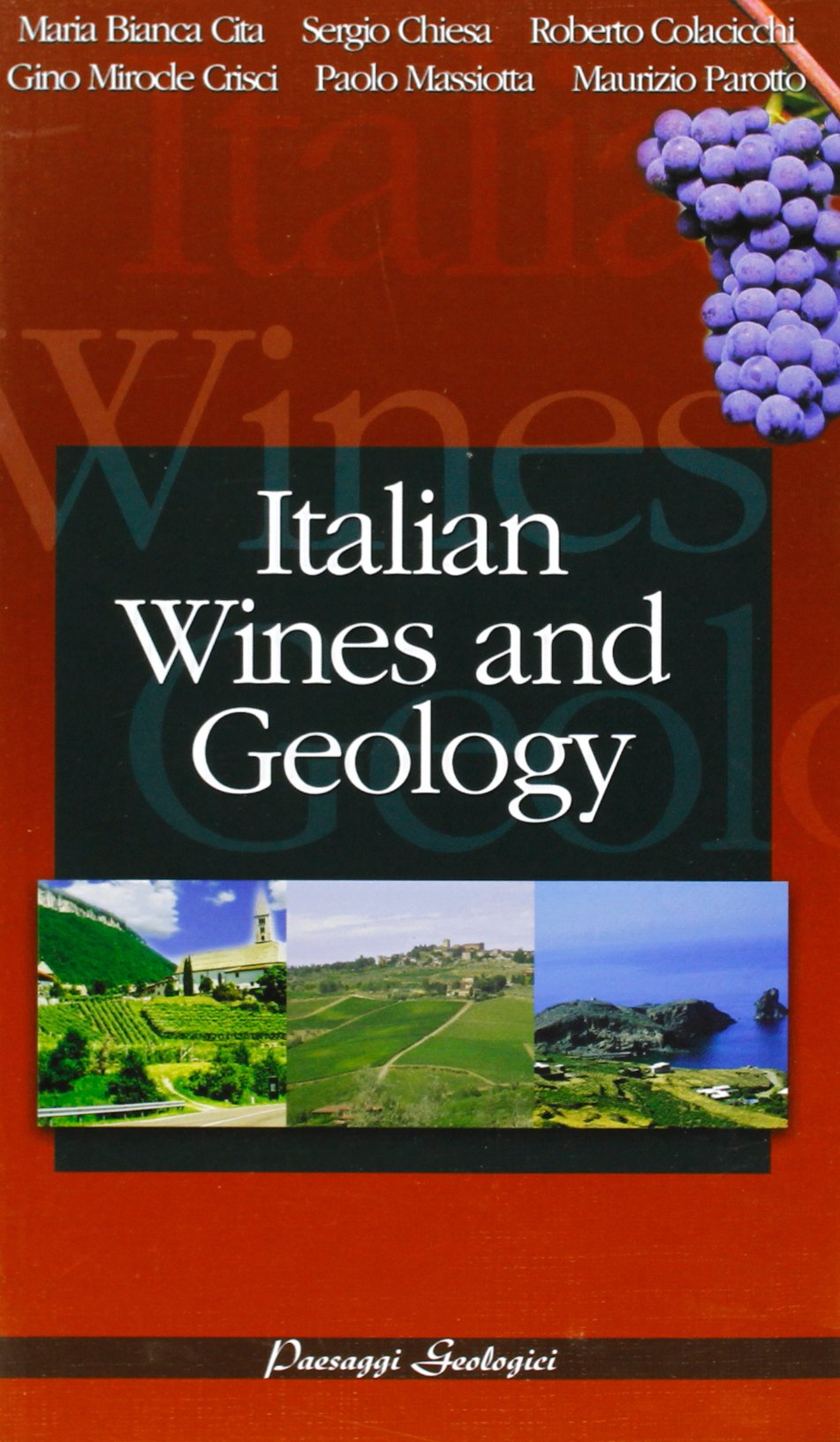 Geologia dei vini italiani. Ediz. inglese Leisure, Home & Garden